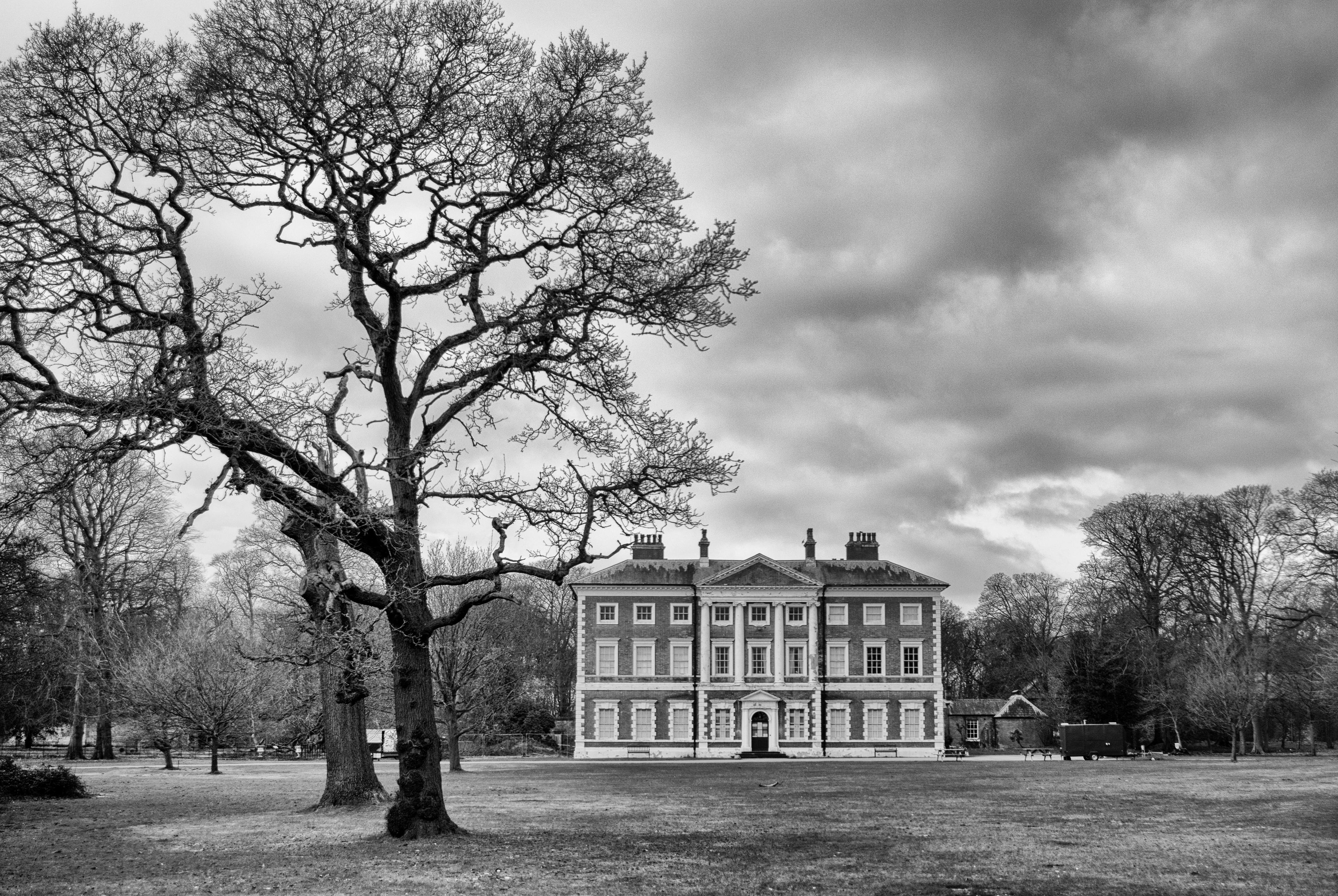 Grand historic mansion in a parkland setting, framed by a large leafless tree under a cloudy sky.