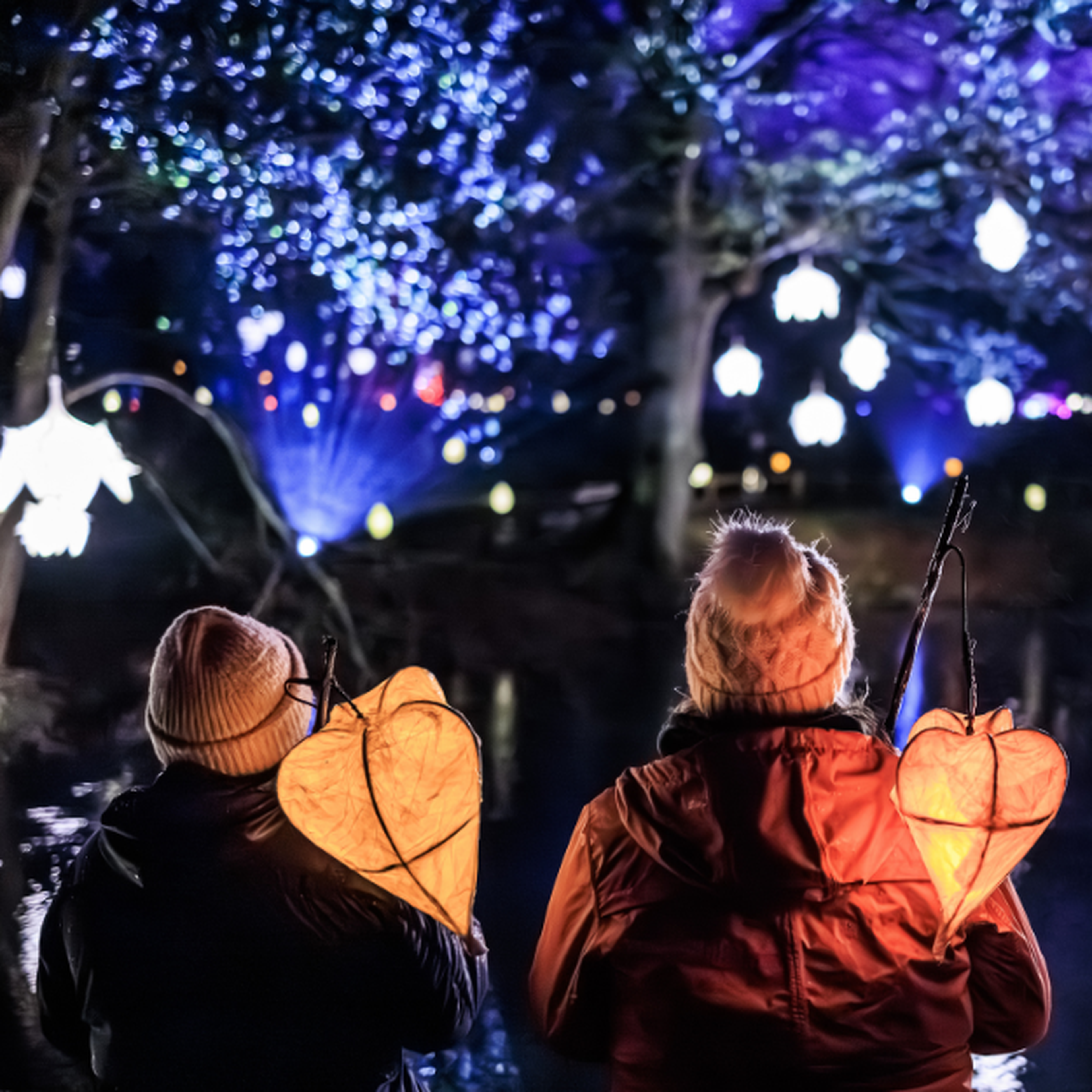 Wakehurst Glow Wild Boundless Members Day