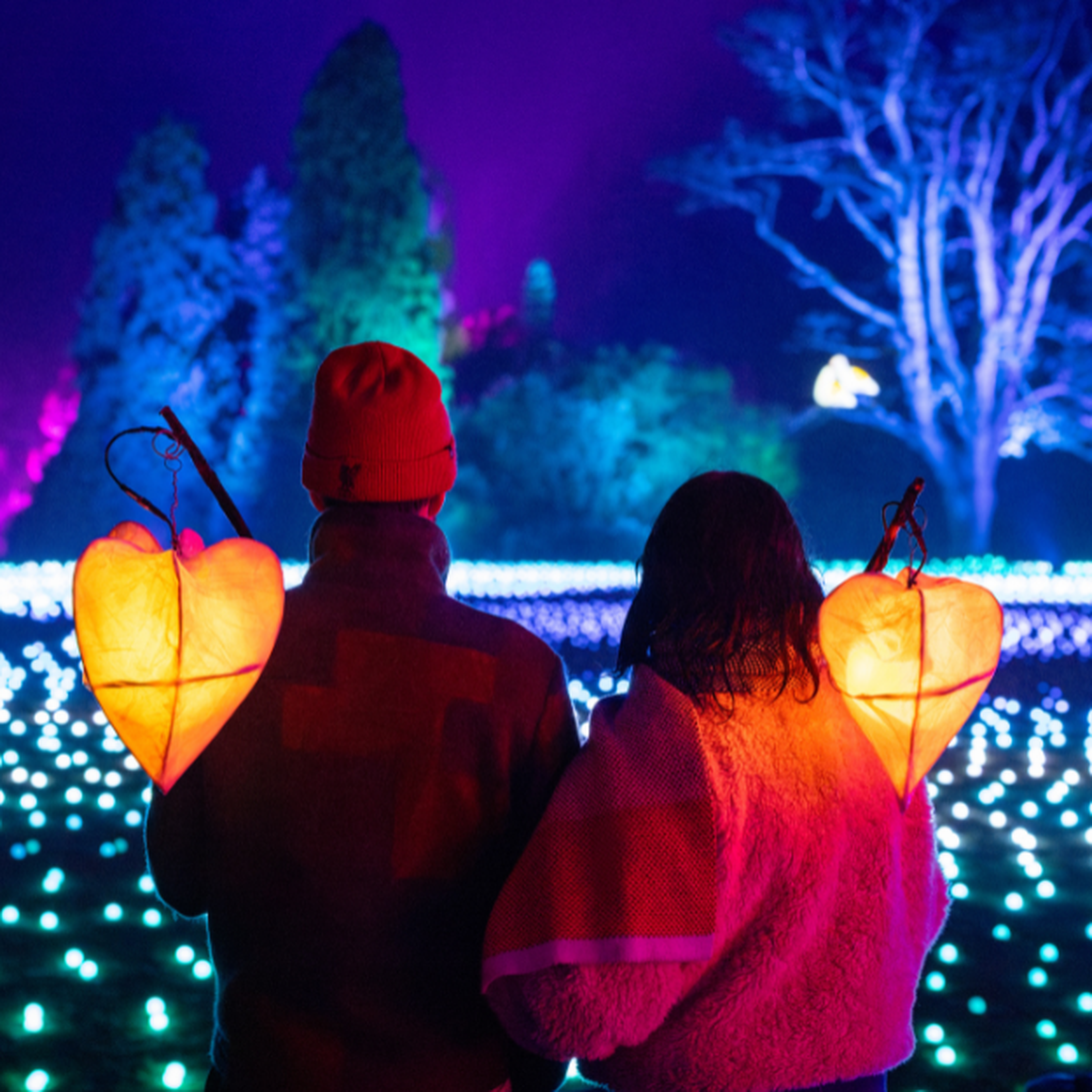 Wakehurst Glow Wild Boundless Members Day