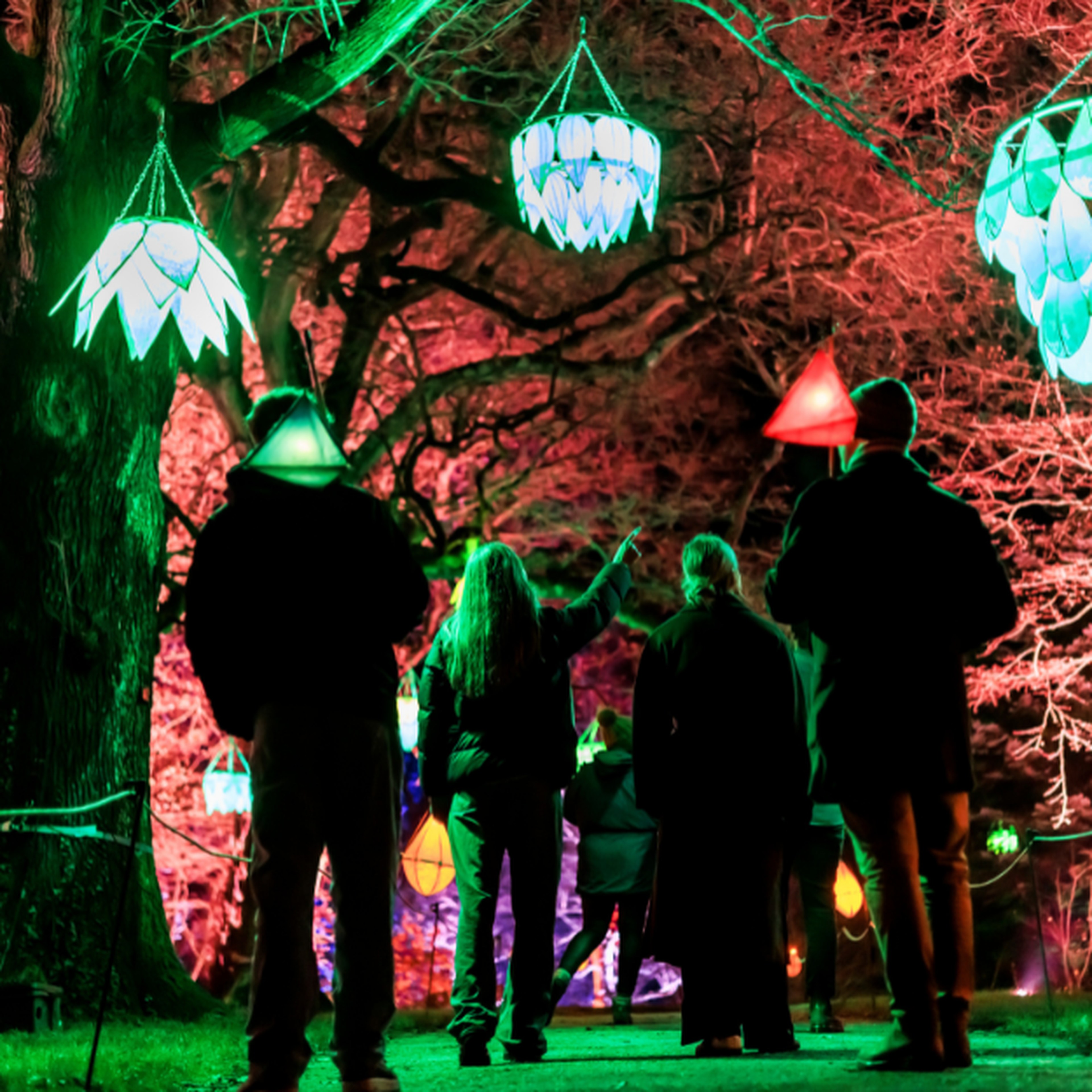 Wakehurst Glow Wild Boundless Members Day