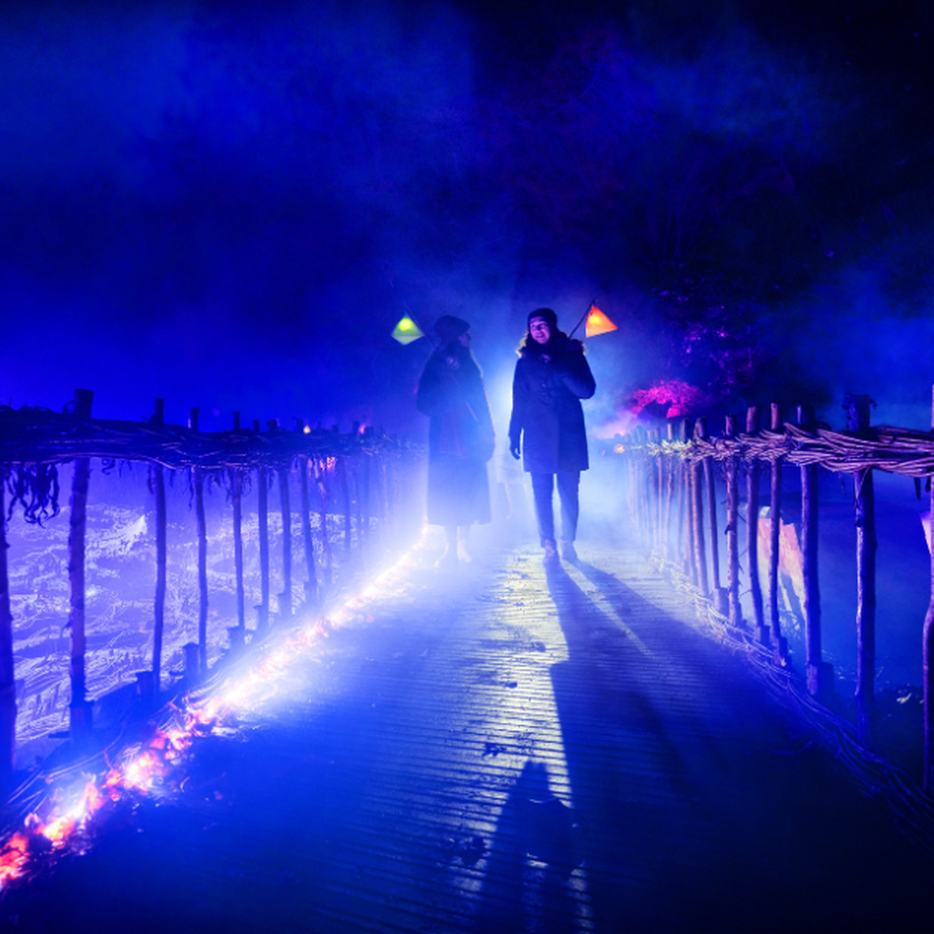 Wakehurst Glow Wild Boundless Members Day