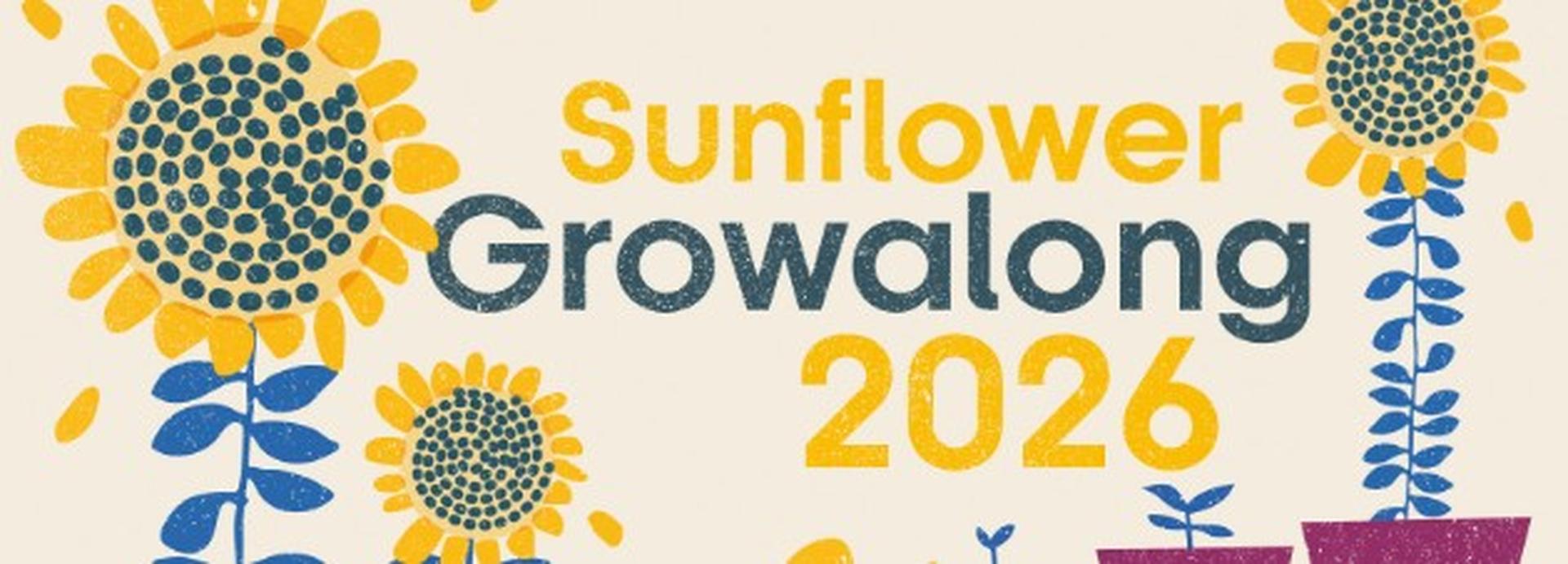 Sunflower Growalong 2026