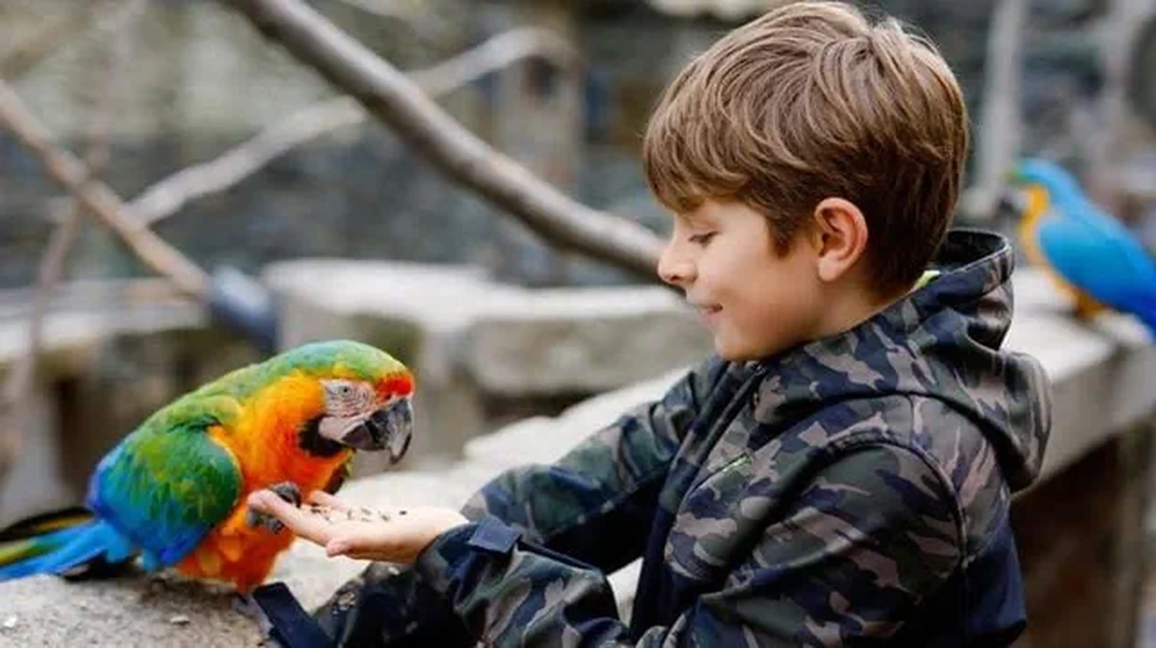 The UK’s best zoos and wildlife parks