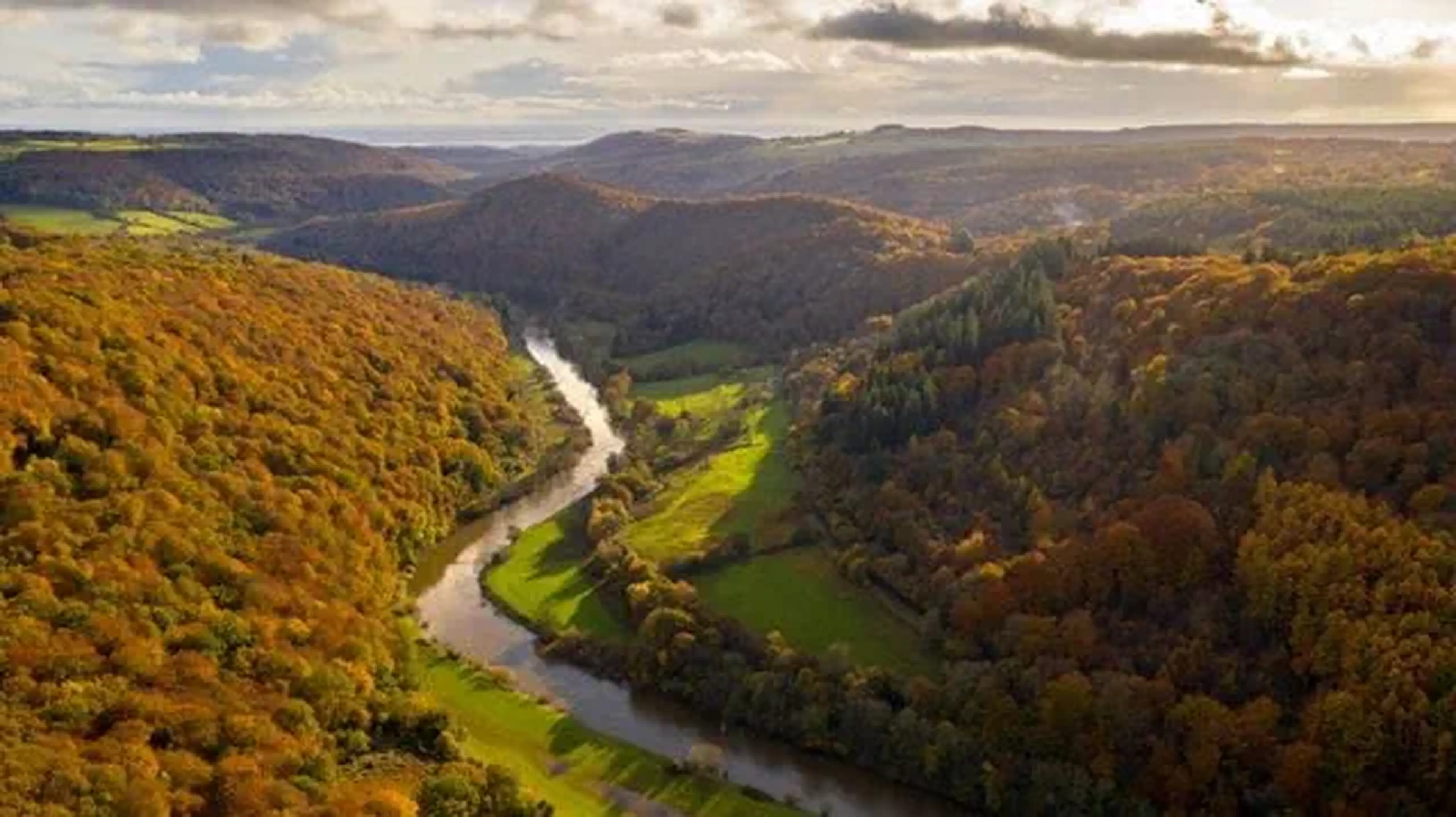 The best walks in the Forest of Dean