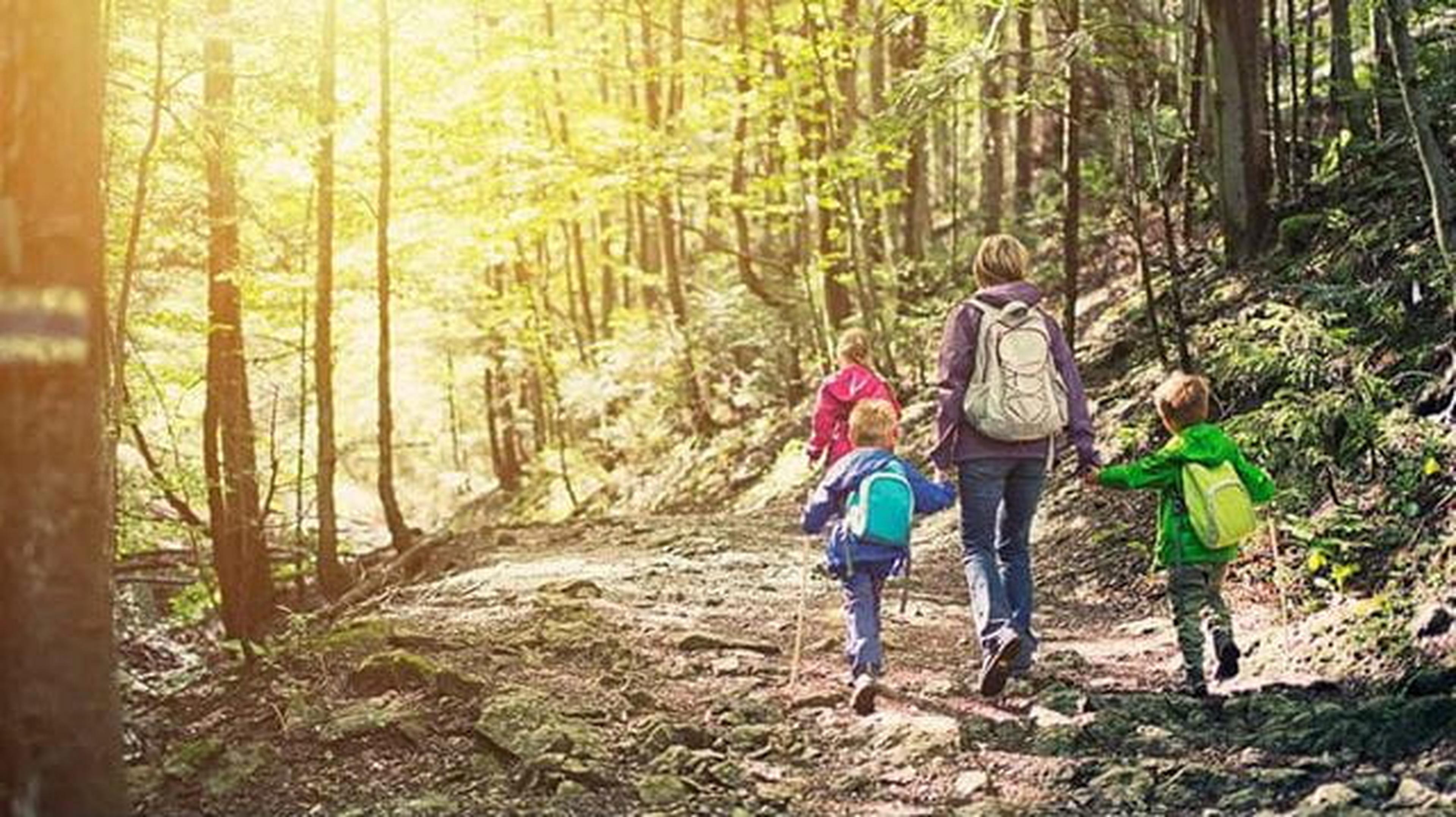Family walking trails: how to get started, the best routes for beginners and for a challenge, and fun things to do as you walk