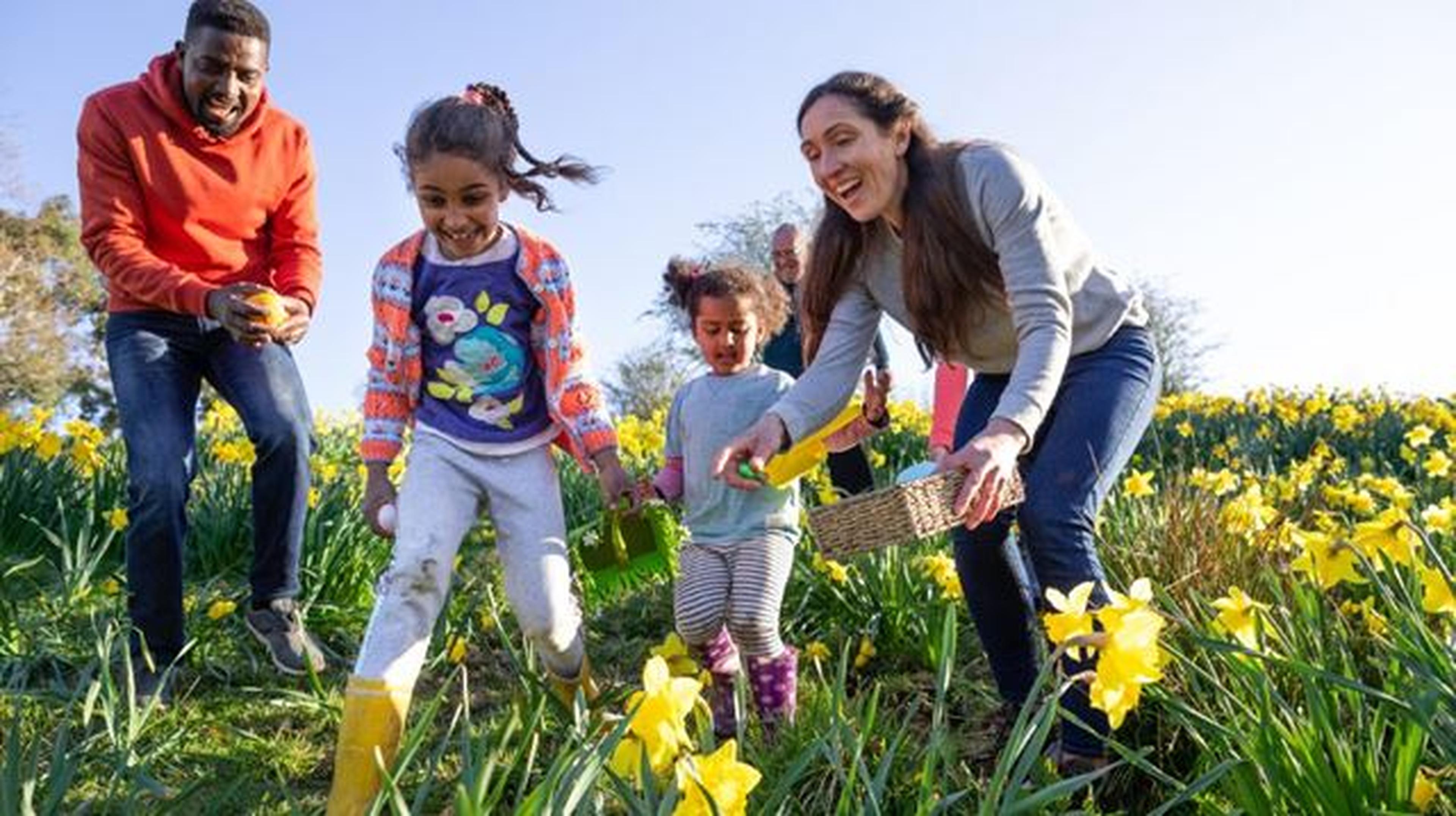 8 deals and discounts on April 2025 activities