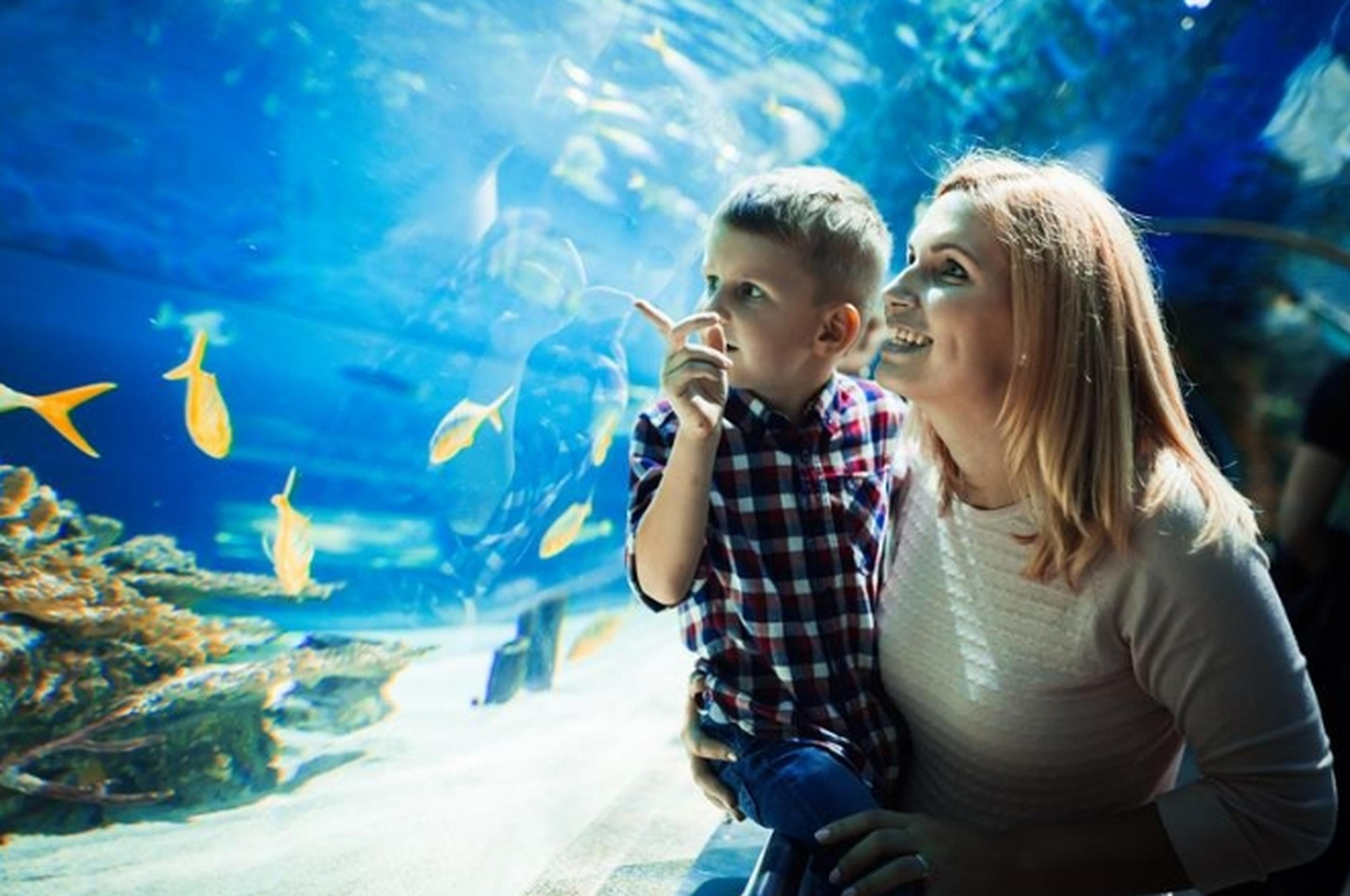 An image of a woman holding her child in an aquarium