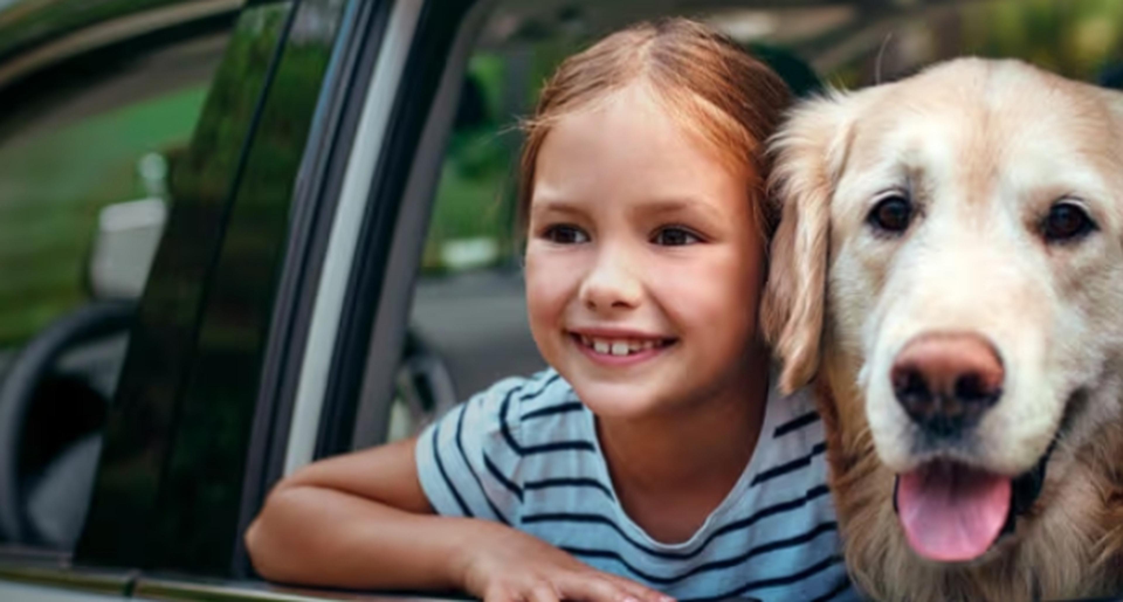 Child and dog looking out of car window