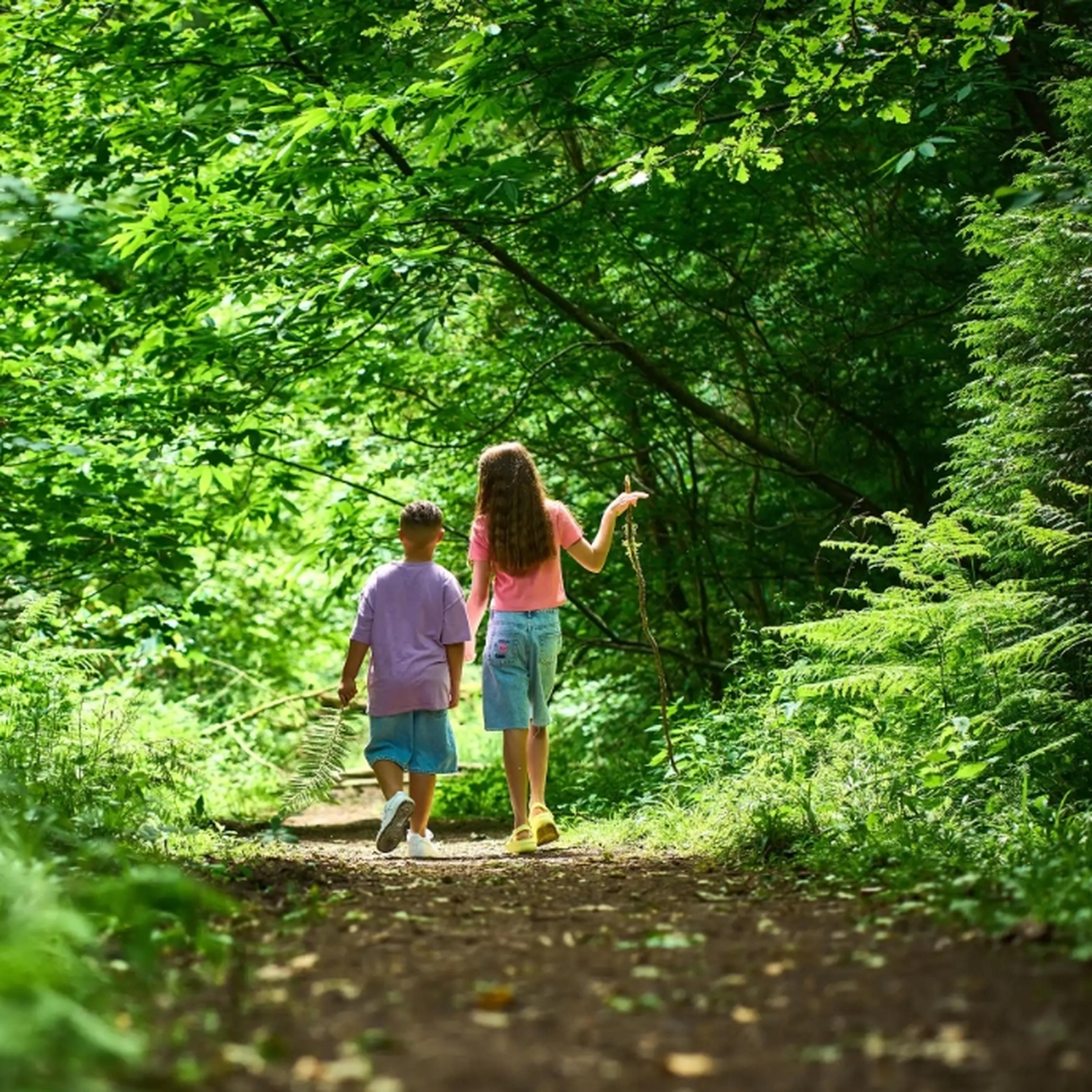 Couple of children walking in a Whitemead Forest
