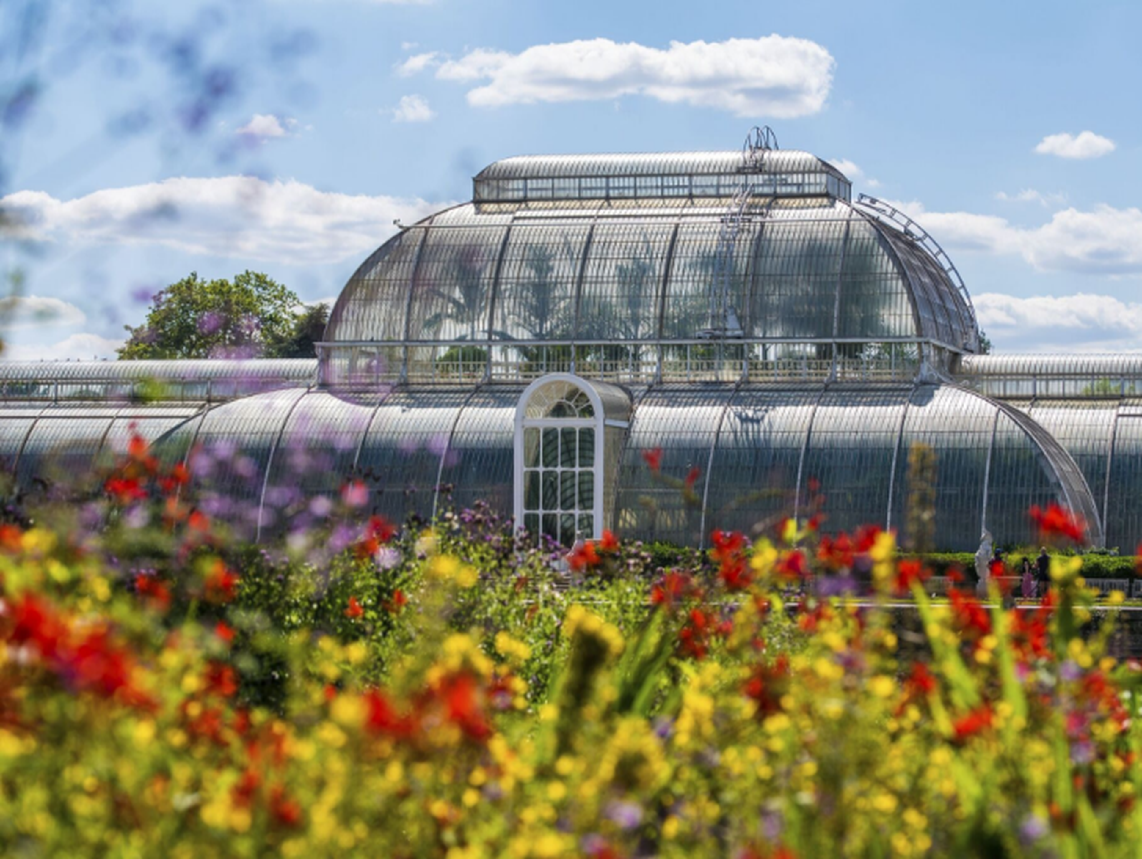 Kew Gardens greenhouse