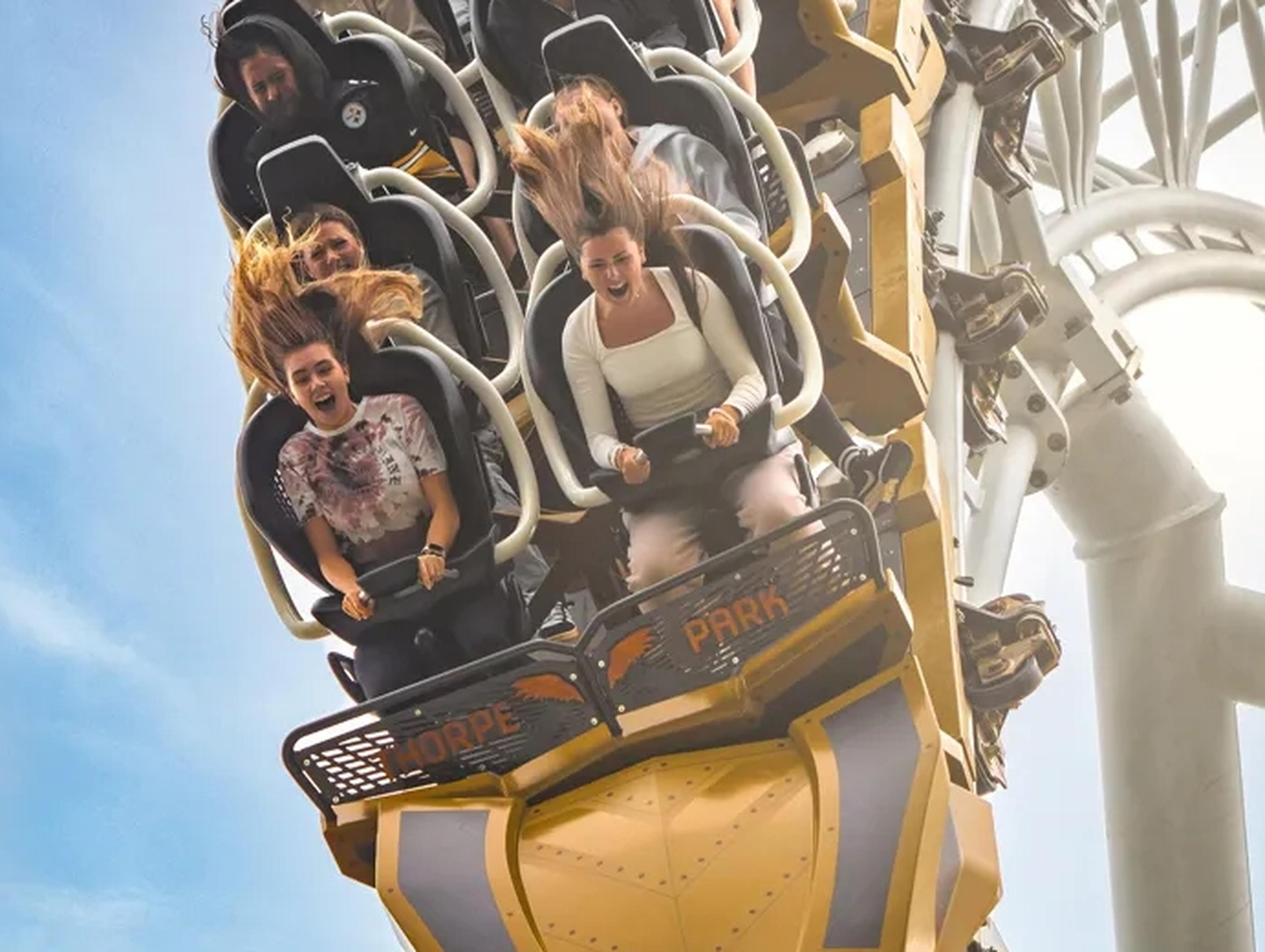 Family on a rollercoaster