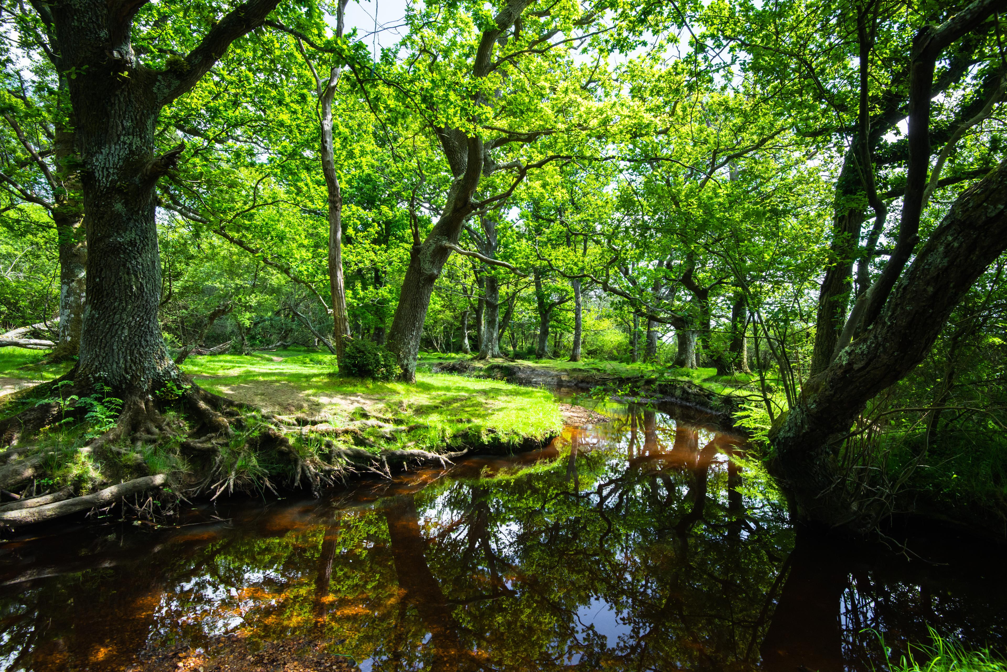 exbury gardens