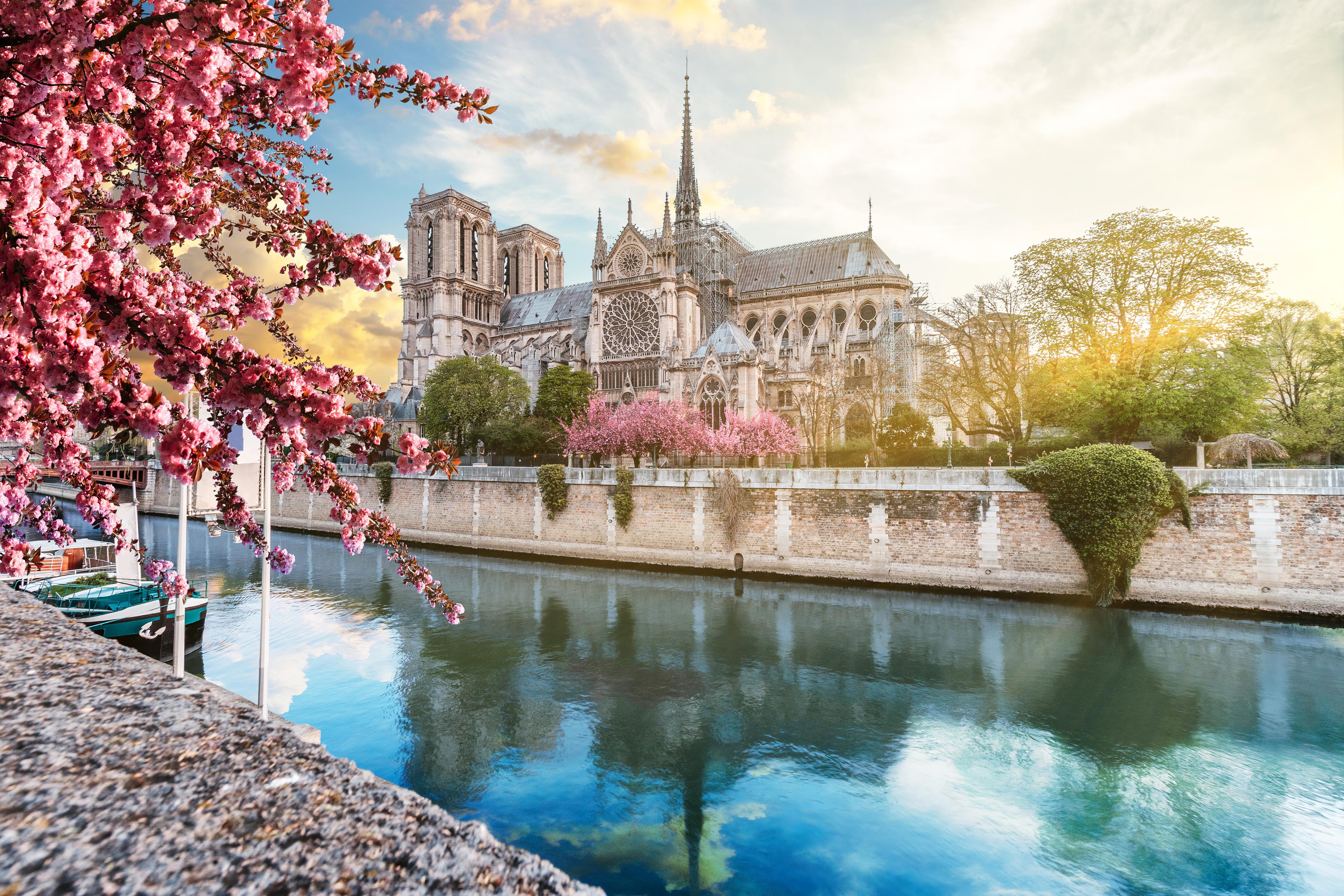 Notre Dame Cathedral at sunset, viewed from across the Seine River, with blooming cherry blossoms and a clear sky in the background.