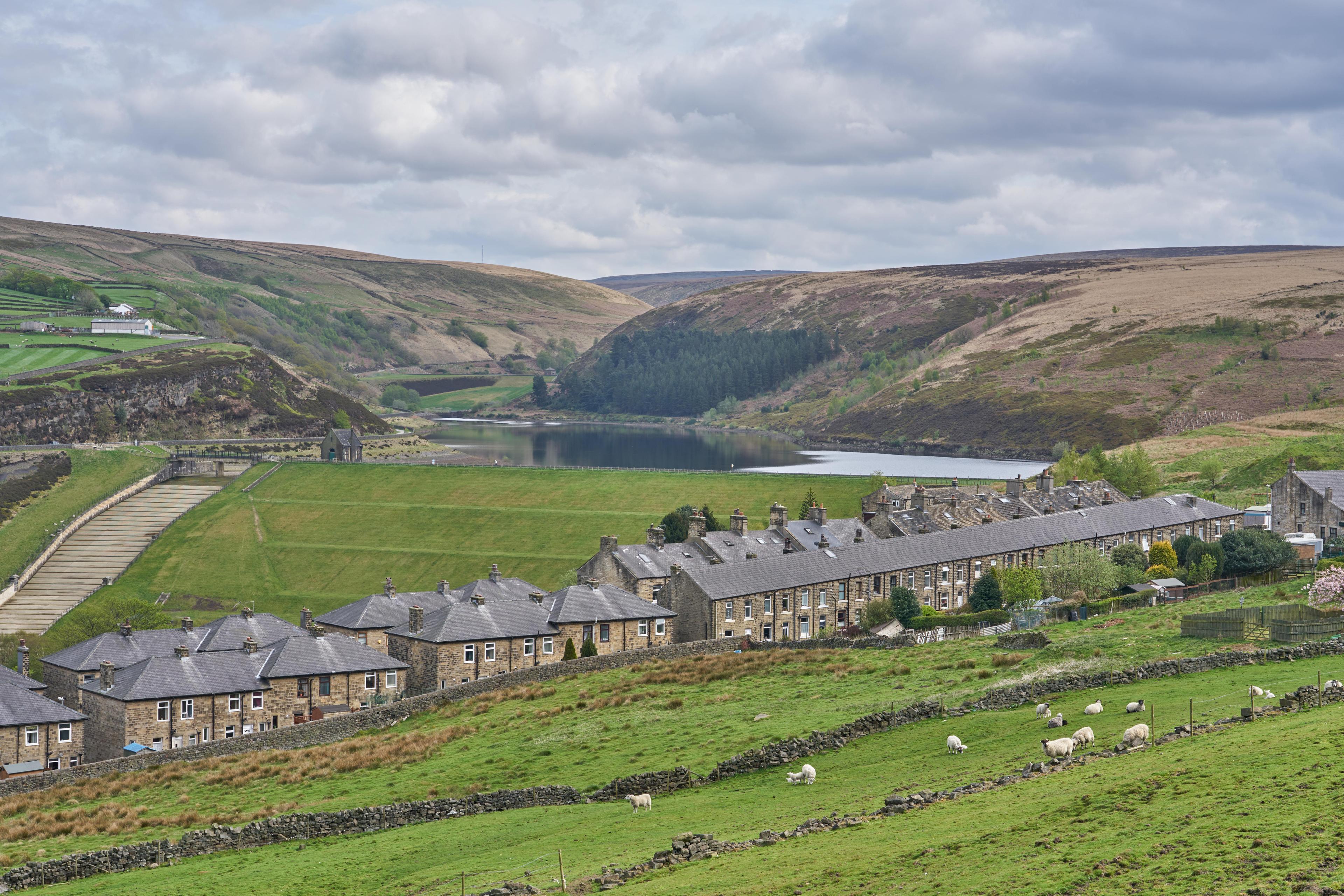 View of Butterley Reservoir near Marsden, West Yorkshire, with rows of stone houses in the foreground, sheep grazing in walled green fields, and a reservoir surrounded by rolling moorland beneath a cloudy sky.