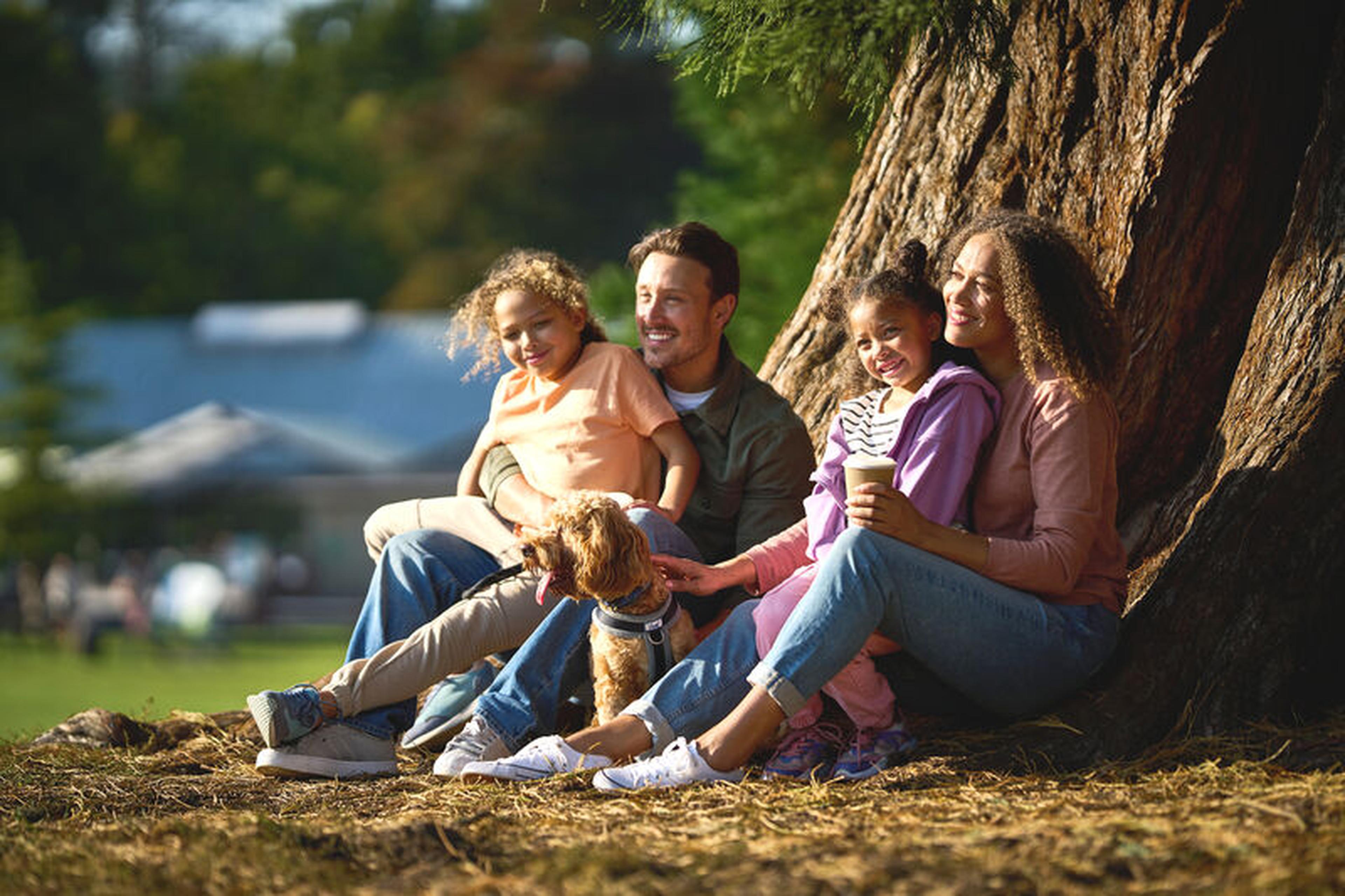 Family summer fun