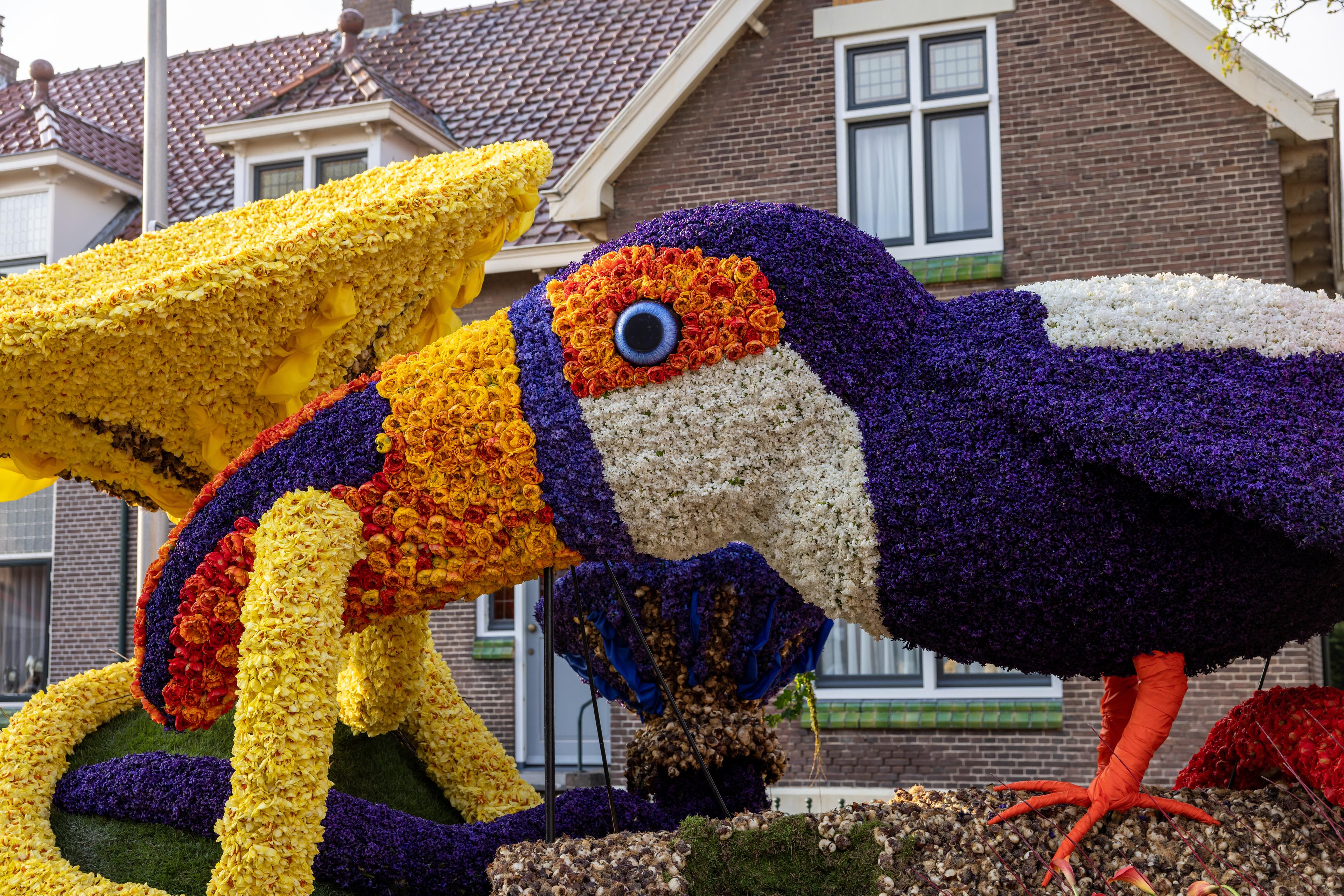 Flower parade float featuring a colorful toucan with vibrant purple, yellow, orange, and white flowers in front of houses.