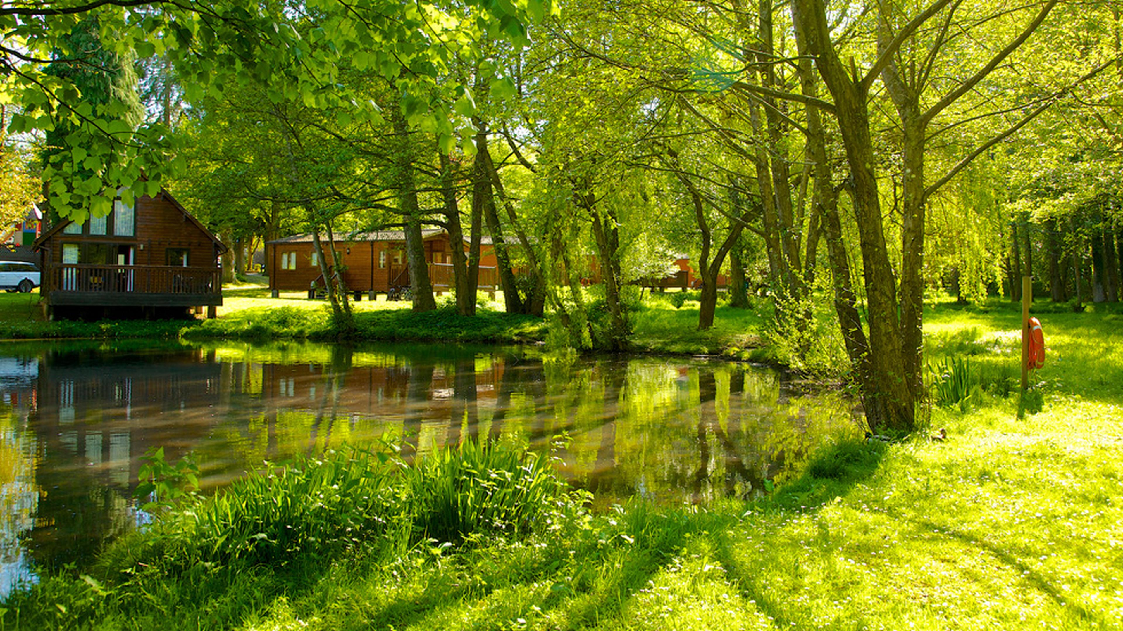 View of whitemead lodges by the lake.