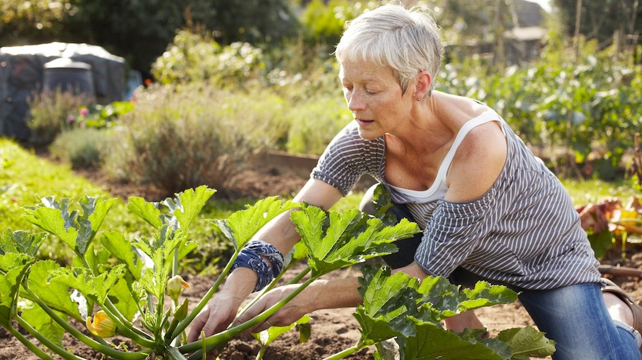 Lady doing outdoor gardening