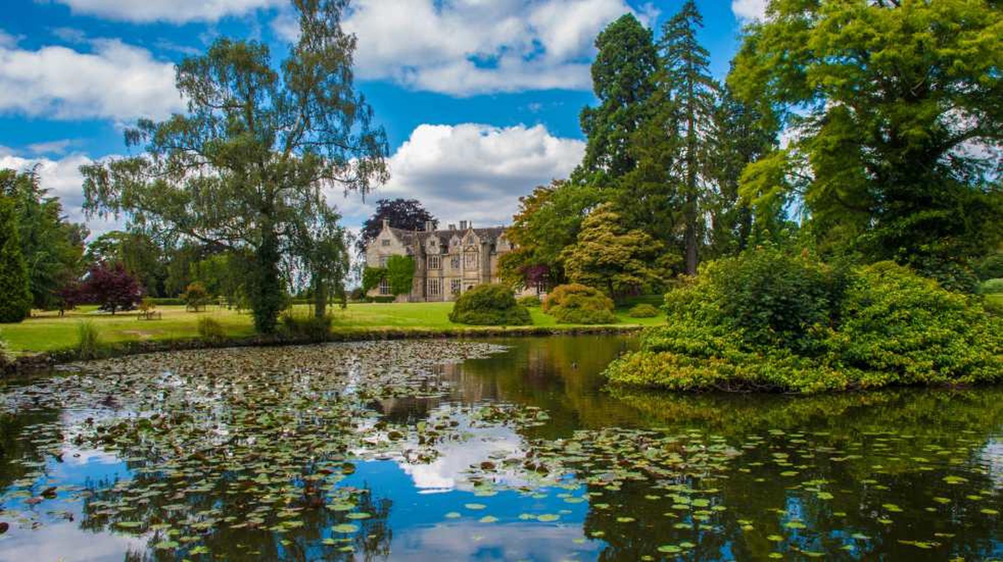 Historic mansion surrounded by trees and a pond with lily pads