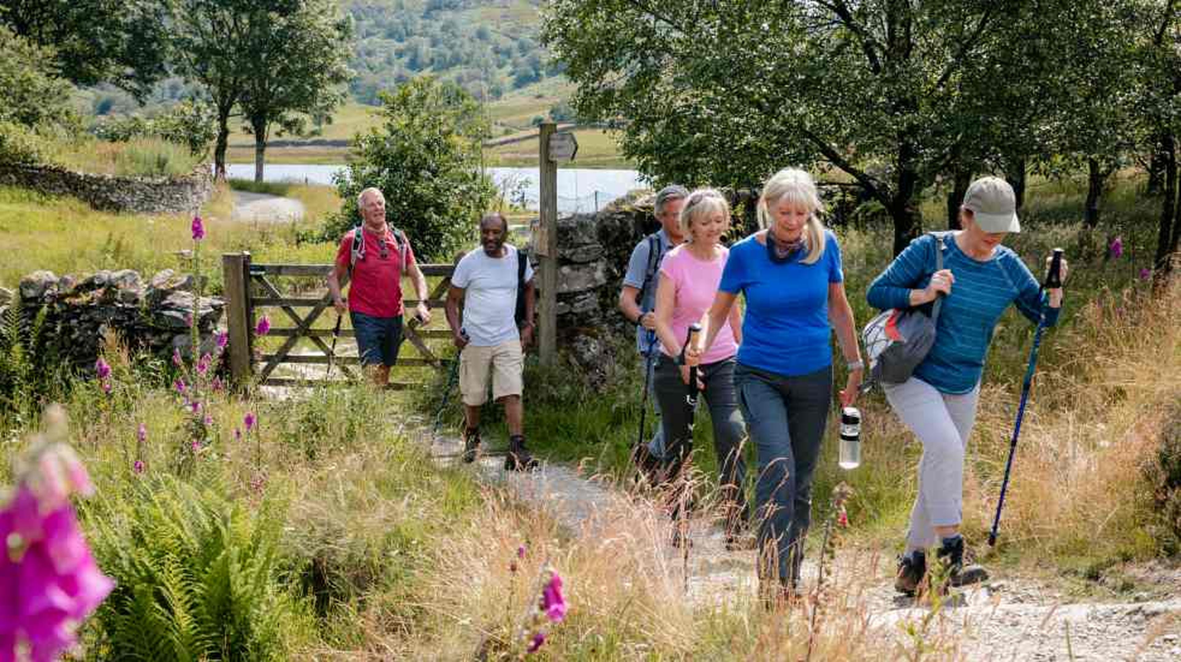 Local walking groups guide: how to find one near me