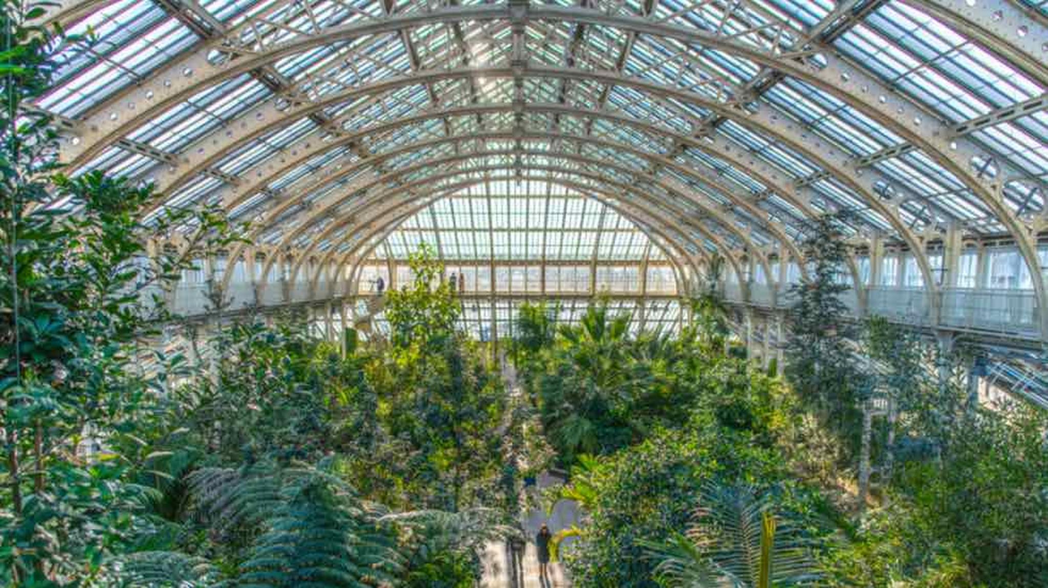 A lush indoor botanical garden with tall green plants under a large arched glass ceiling, allowing natural light to flood the space.