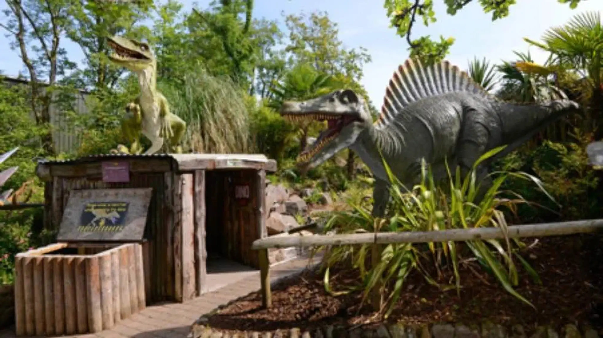 Outdoor dinosaur exhibit with life-sized statues of a raptor and Spinosaurus