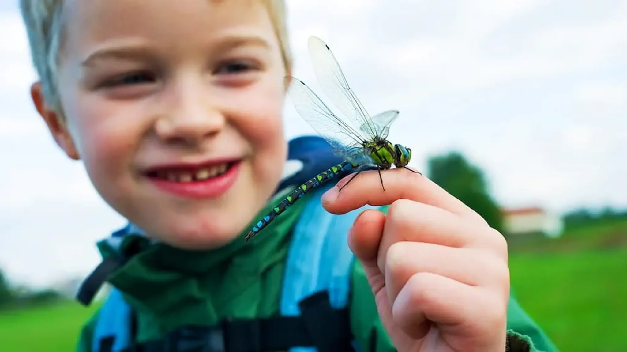 Smiling child holding a dragonfly on their finger