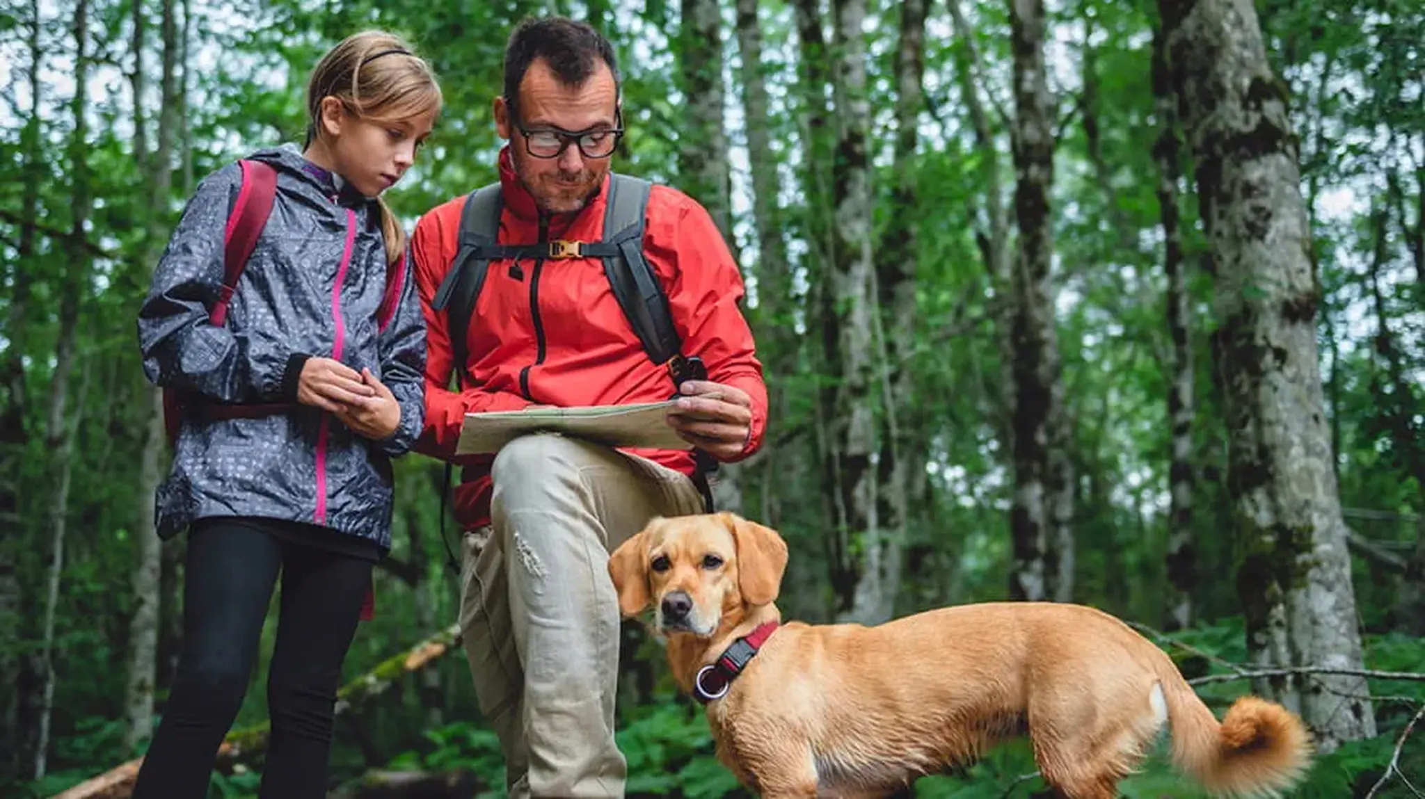 Man and child with a dog examining a map in a forest