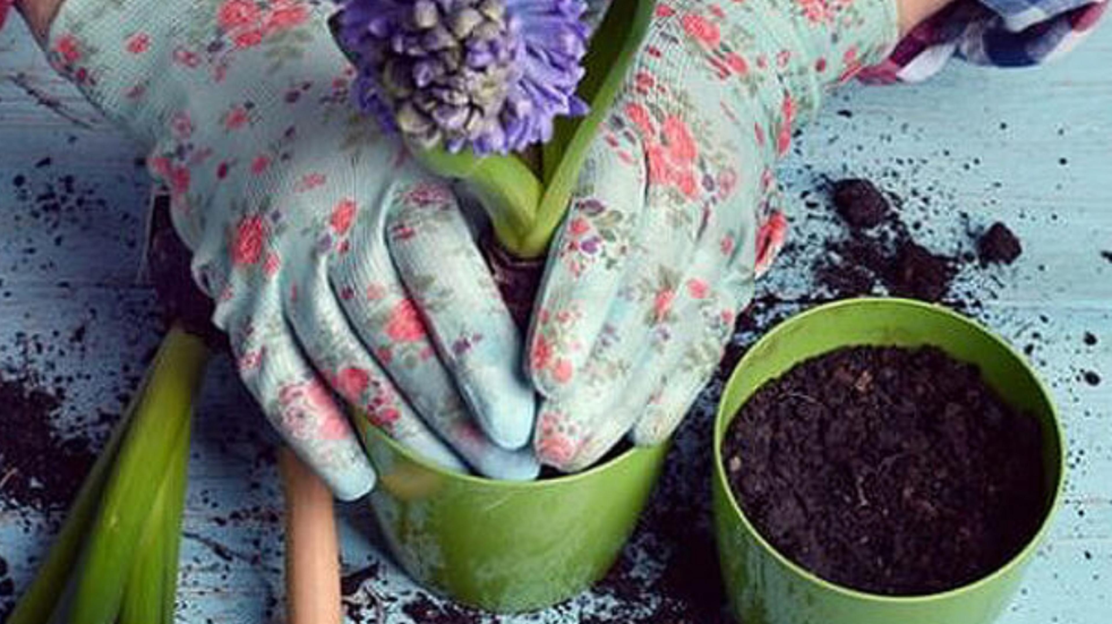 Gardening Group