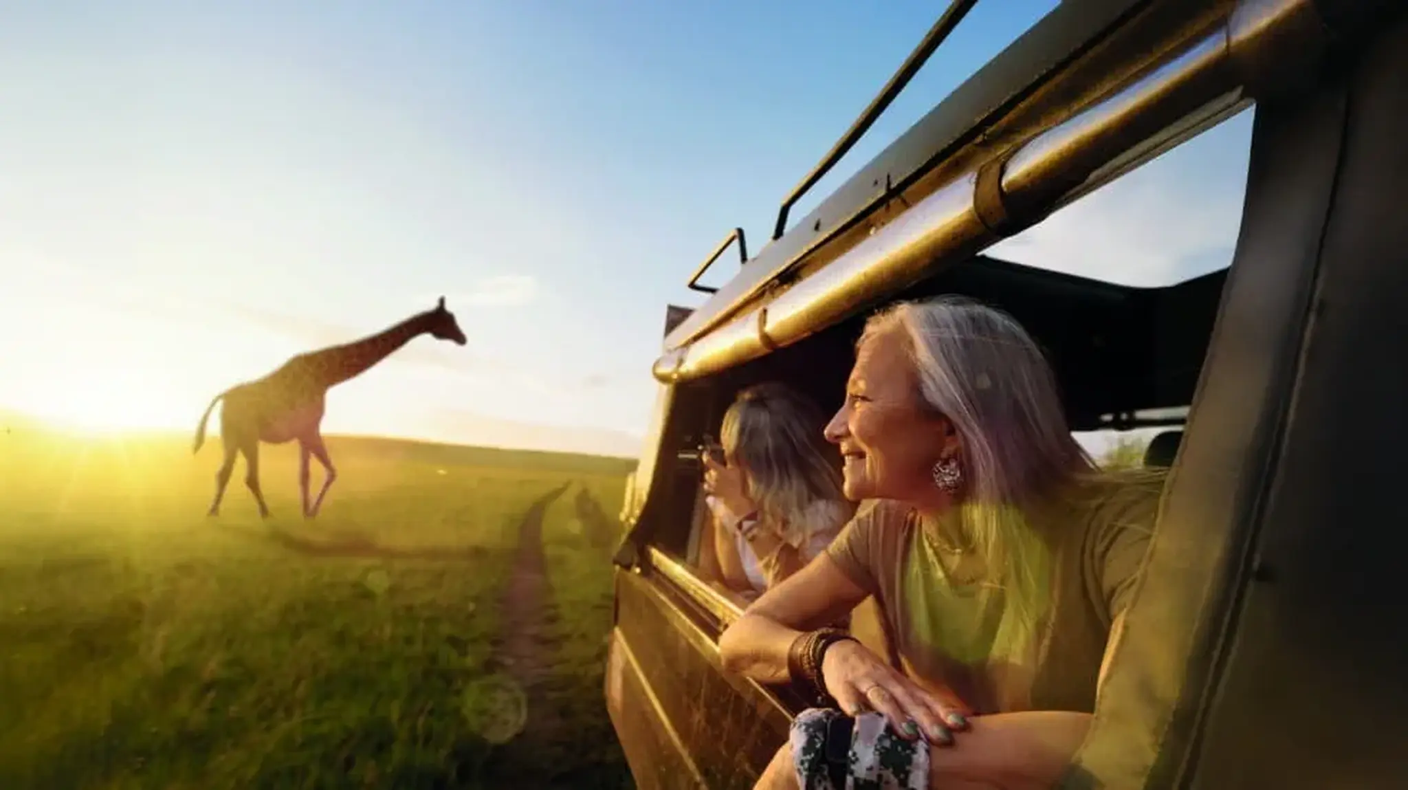 Two people in a safari vehicle watching a giraffe walking in the grassy savannah at sunset