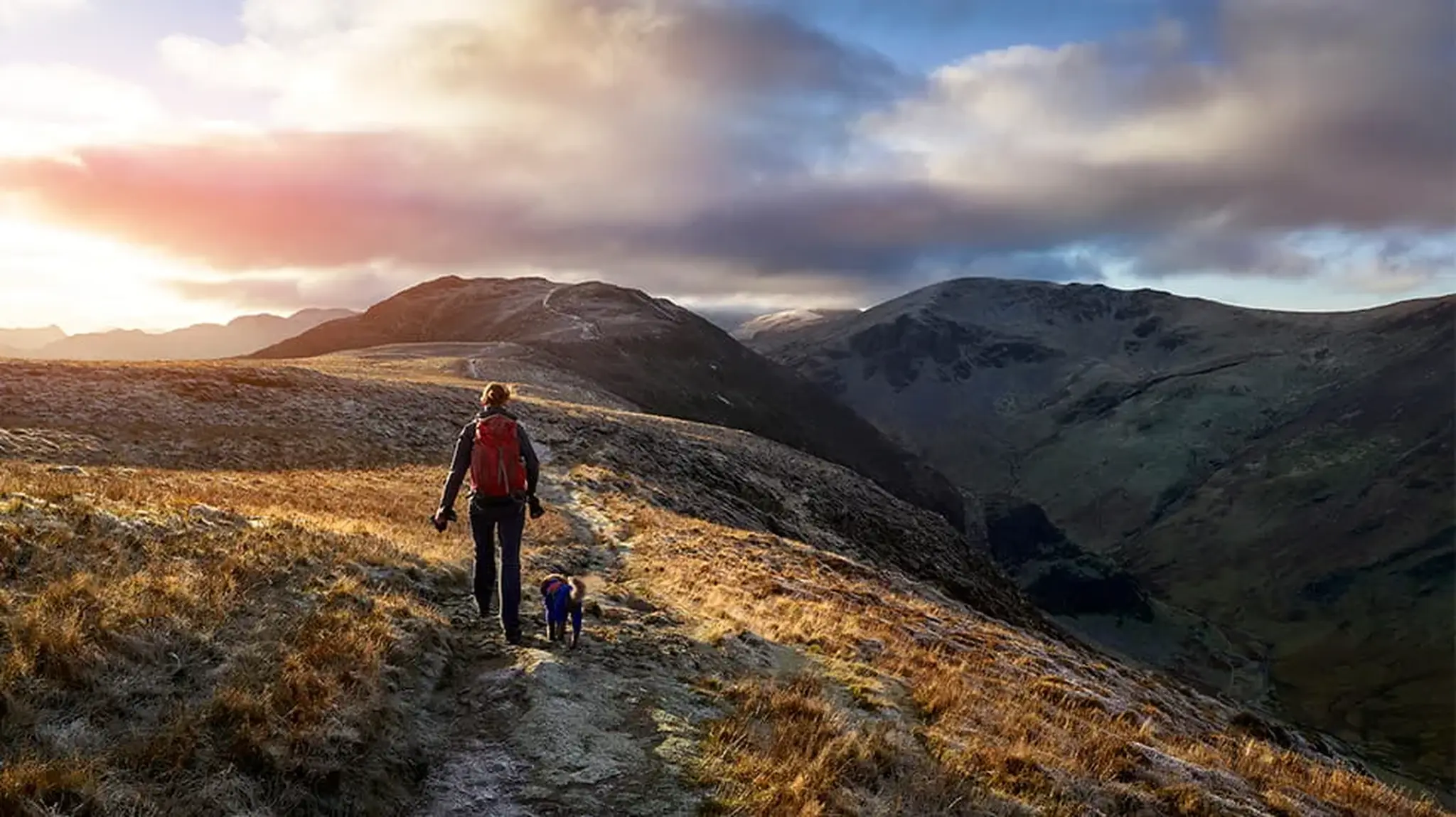 Person hiking with a dog on a grassy trail at sunrise, surrounded by rolling hills