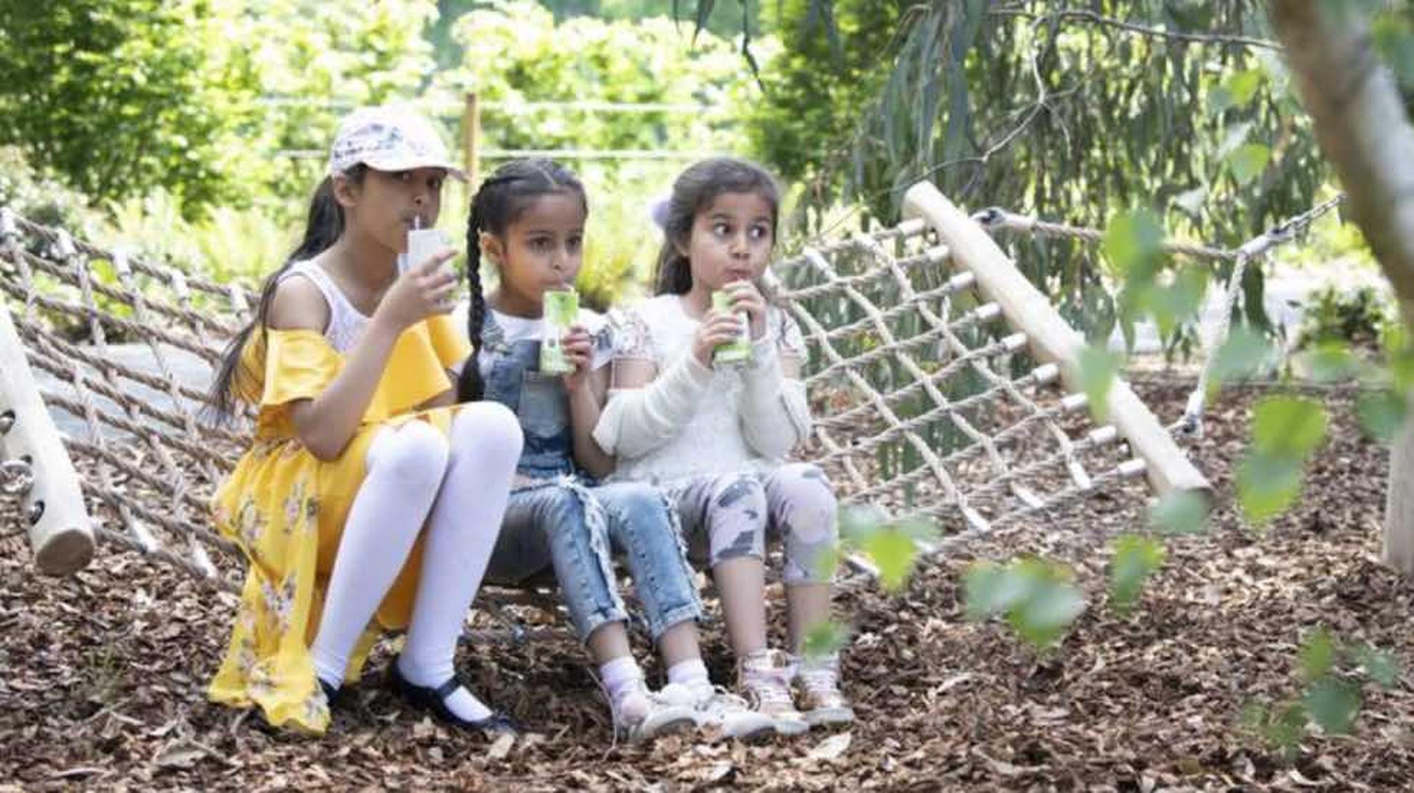 Three young girls sit on a rope bridge, sipping drinks, surrounded by greenery and fallen leaves in a park setting.