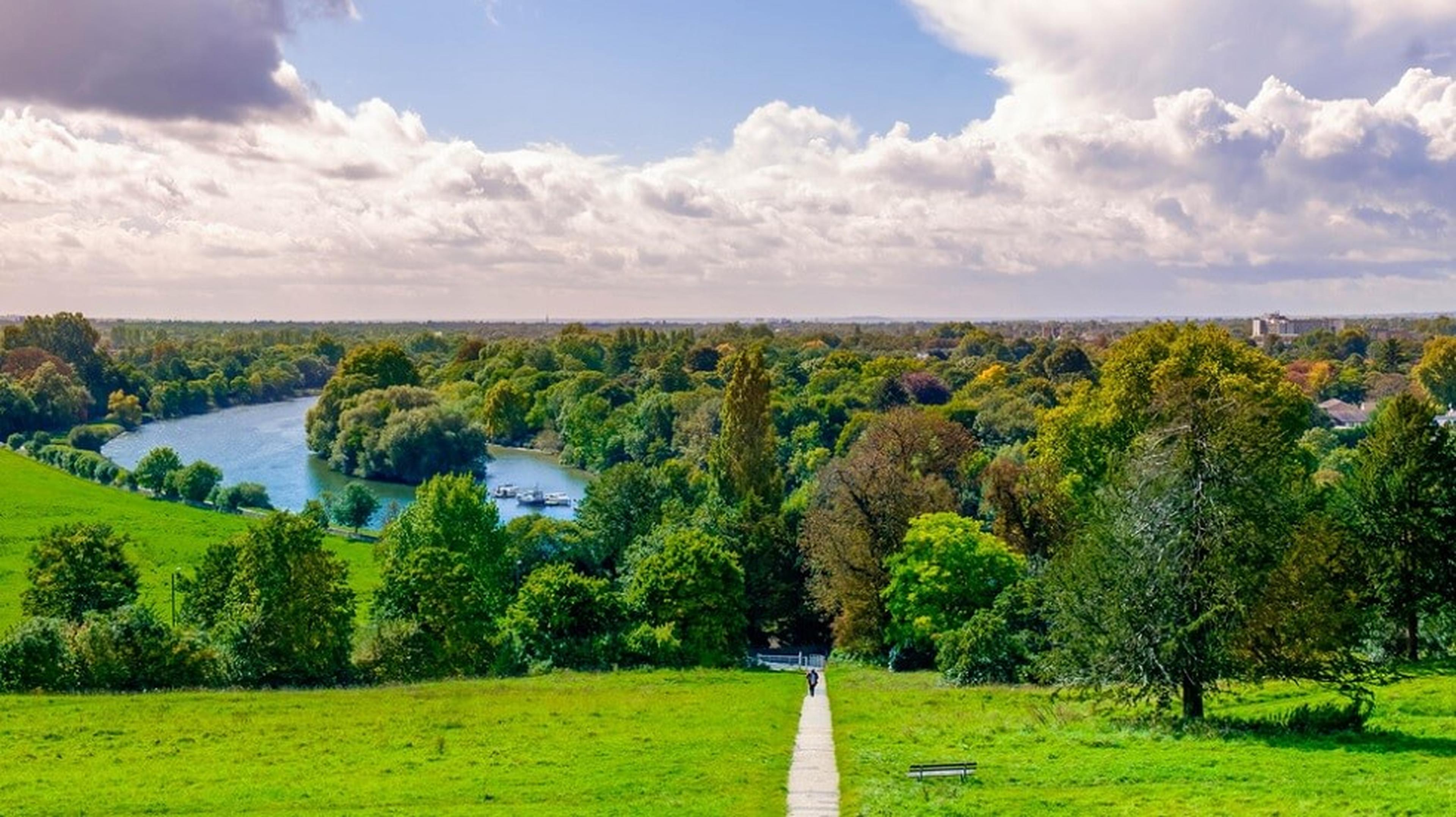 A scenic view of a lush green landscape with a meandering river