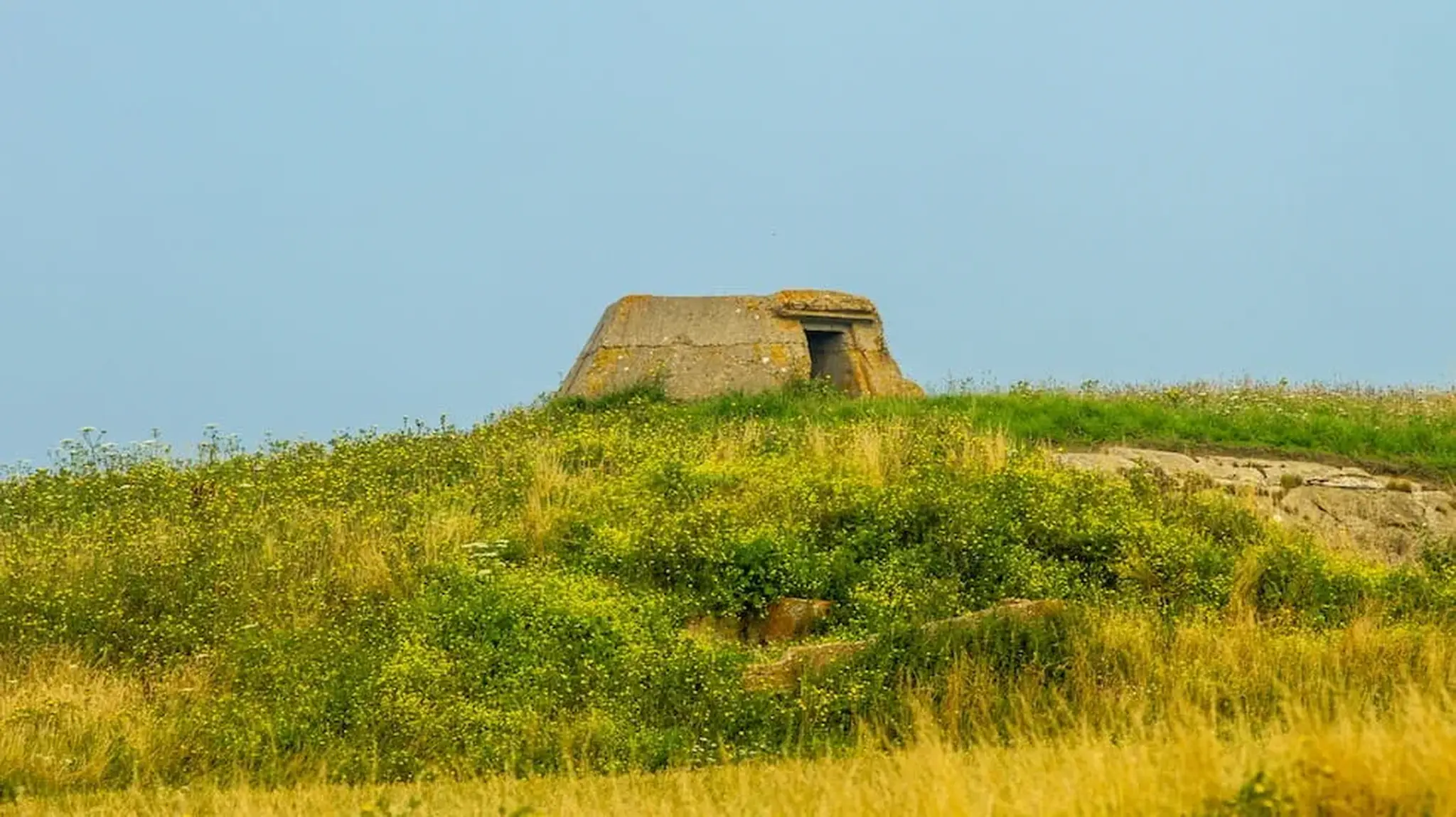 Bunker atop a grassy, wildflower-covered hill
