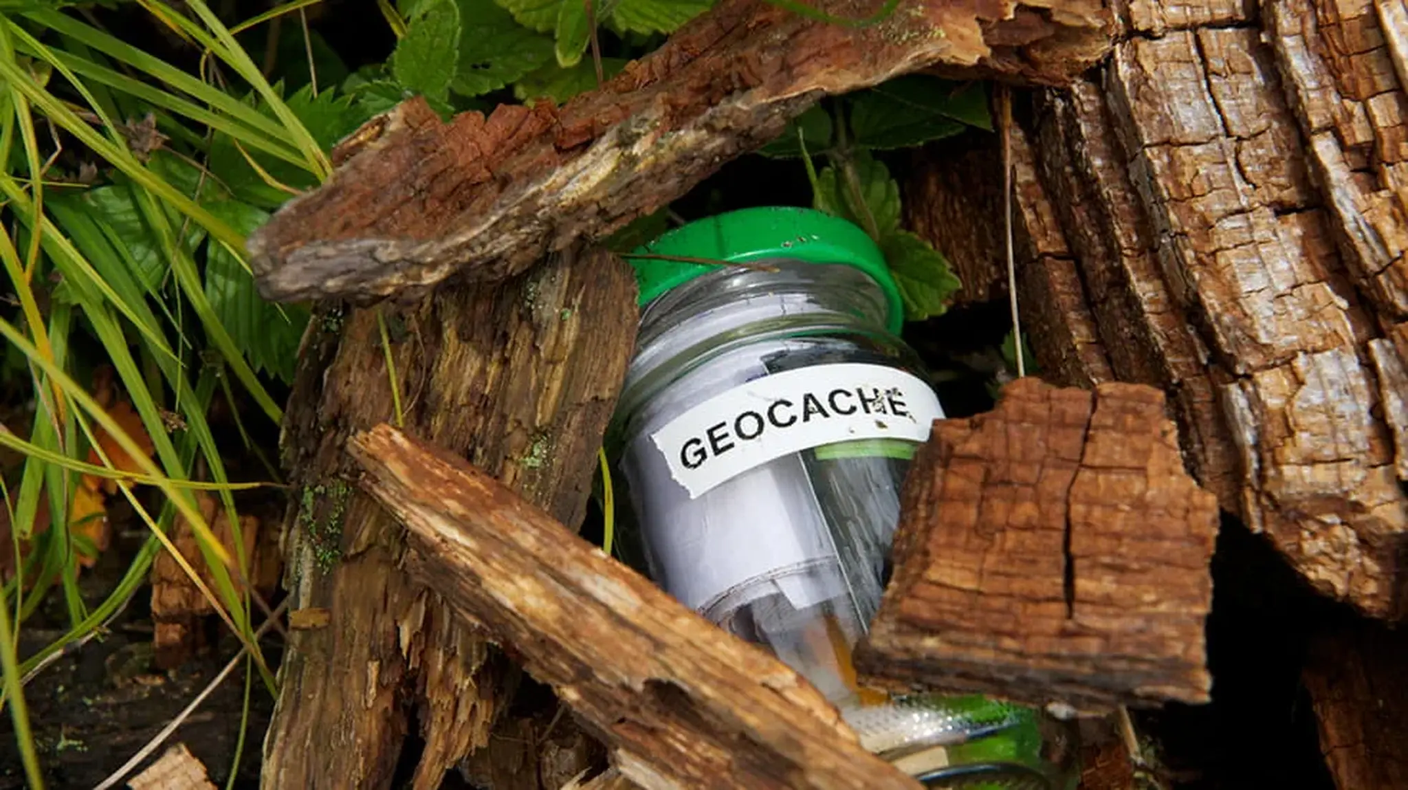 A container labeled "GEOCACHE" hidden among broken pieces of wood and foliage