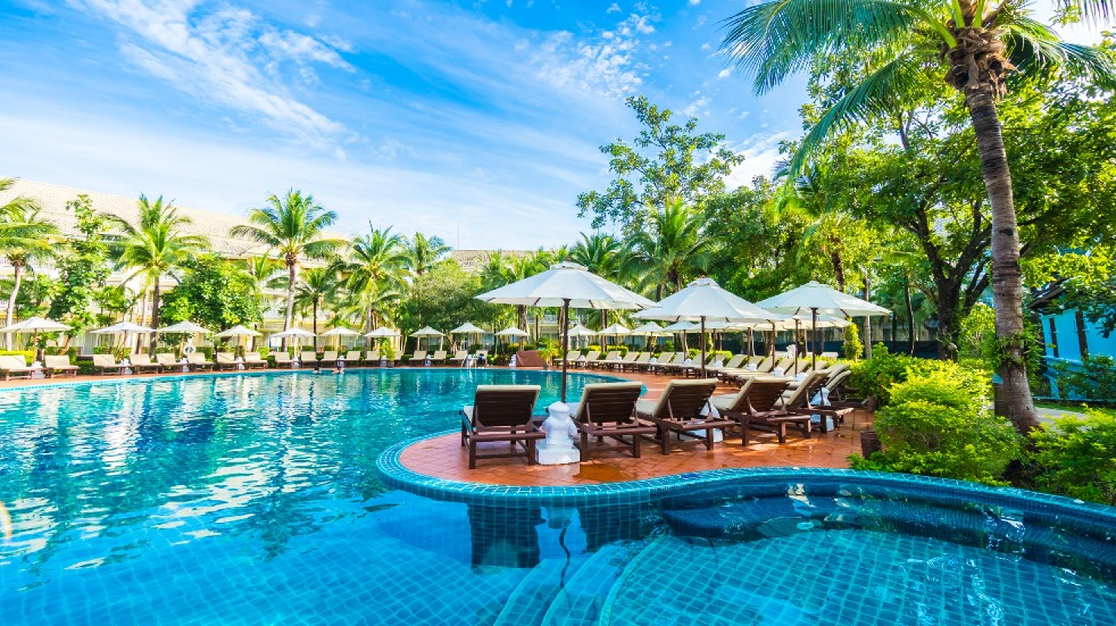 sunlounges by a pool surrounded by palm trees