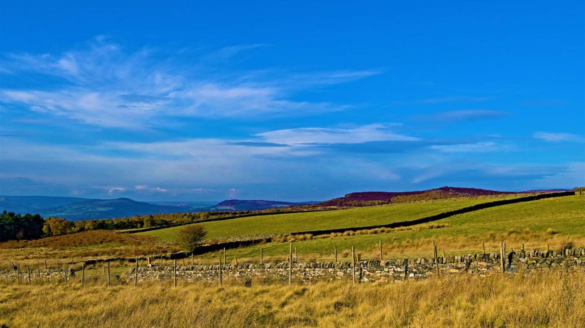 Scenic landscape with golden fields, a stone fence, and rolling hills under a vibrant blue sky with wispy clouds.