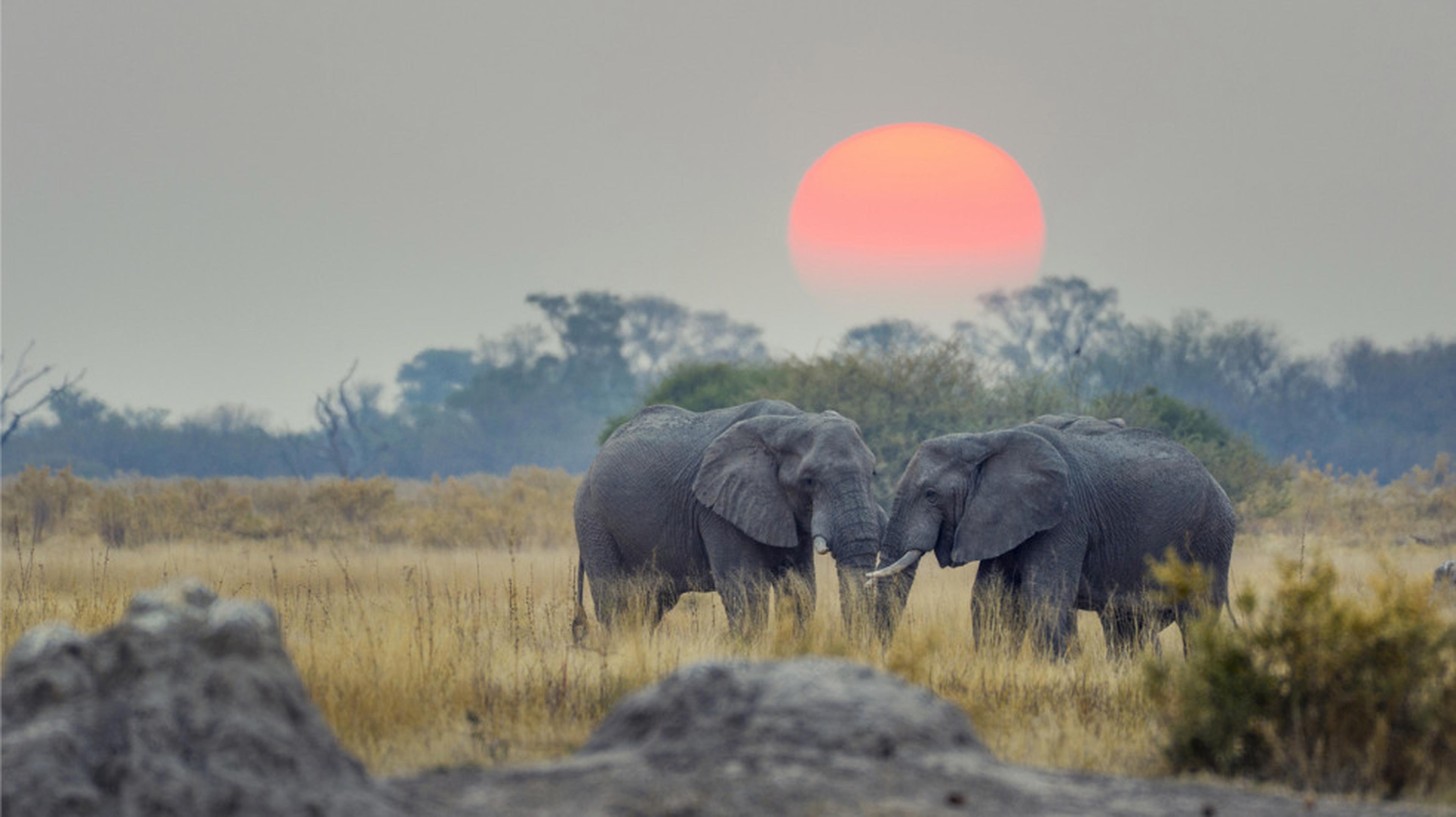 Wildlife talk by Tom Way