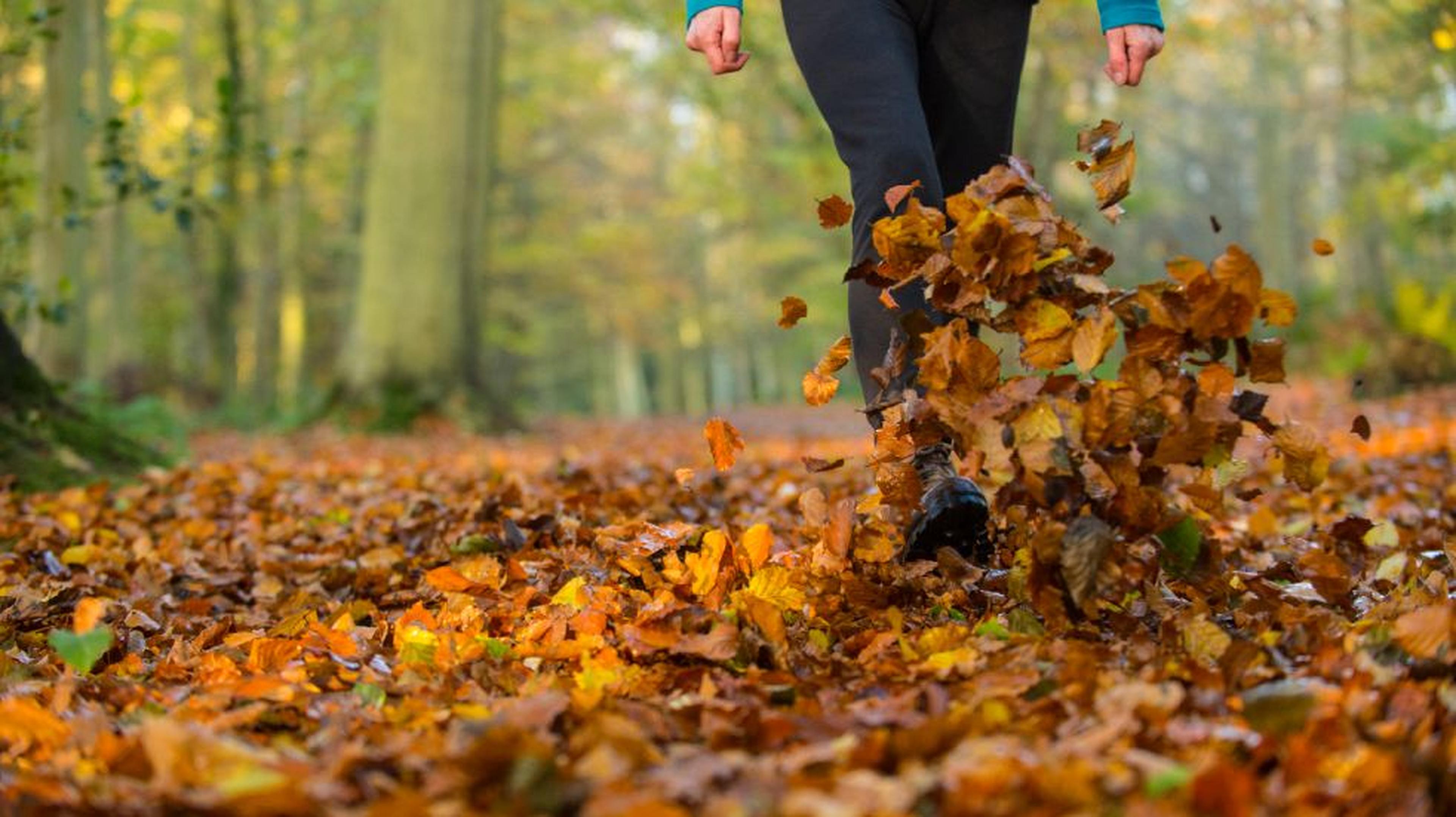 Top 20 autumn walks in the UK