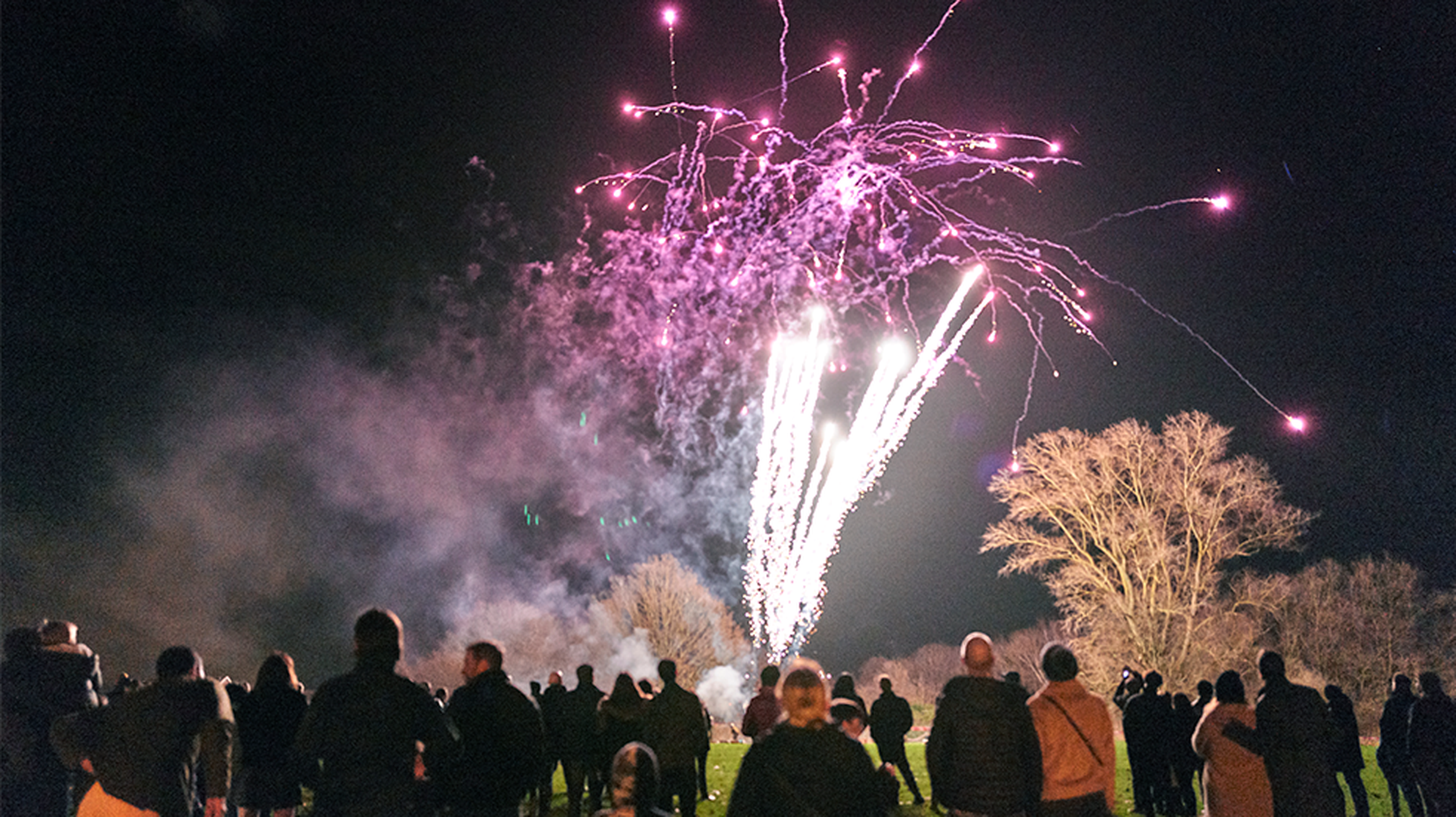 25 free events to attend in November