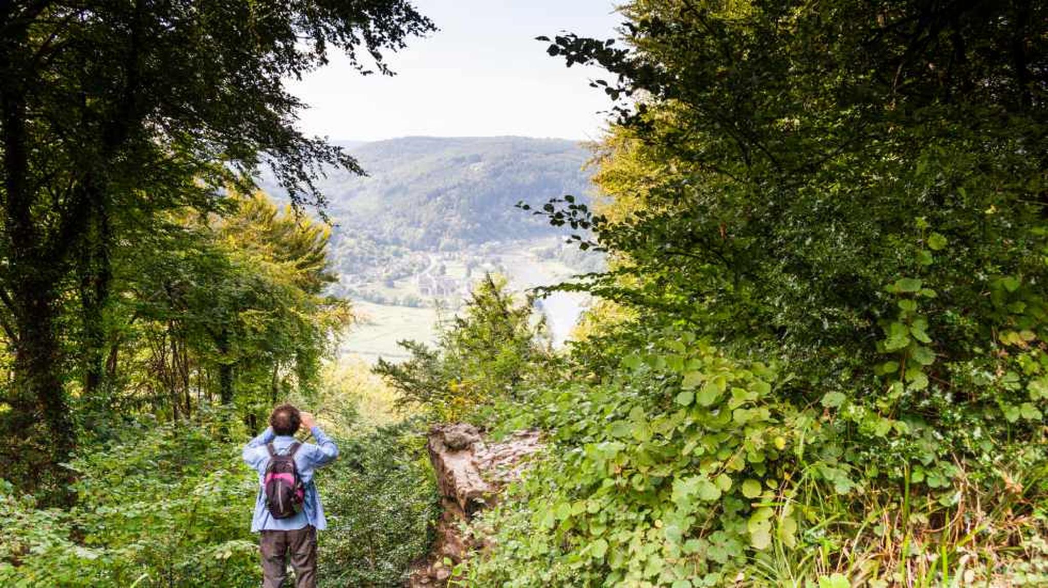 A person with a backpack stands on a forested trail, looking out at a valley