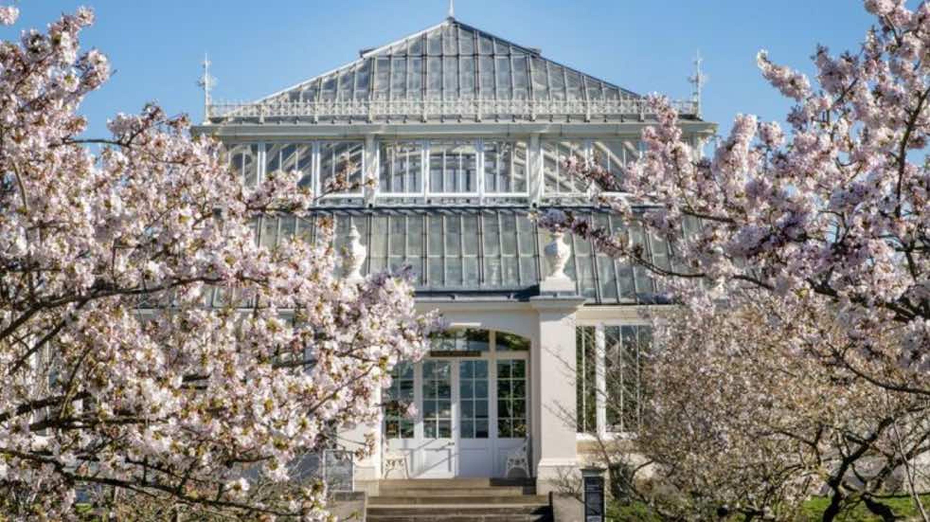 A garden for all seasons: The Royal Botanic Gardens Kew and Wakehurst