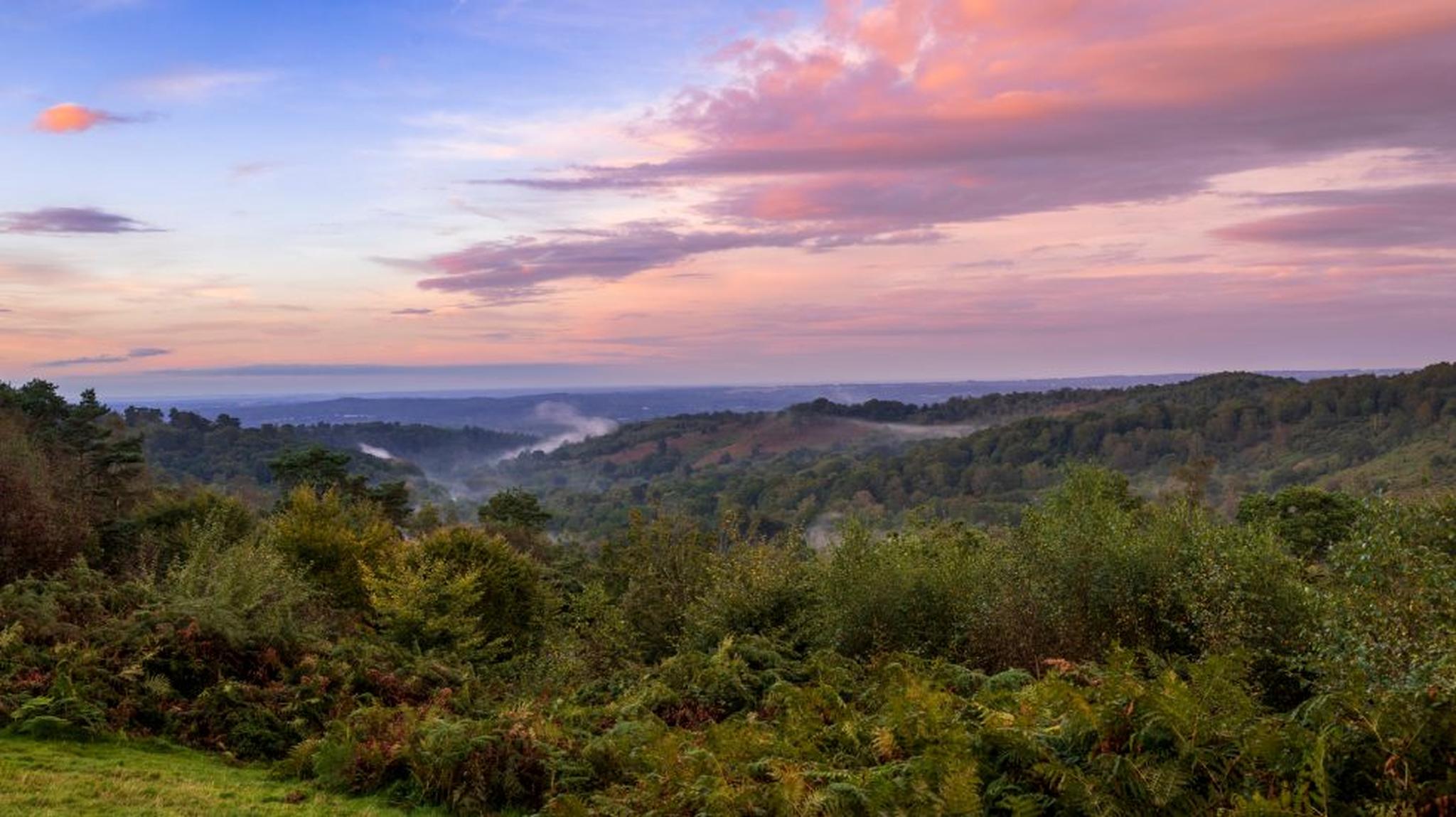 A scenic landscape of rolling hills and lush greenery under a vibrant sunset sky with pink and purple clouds.