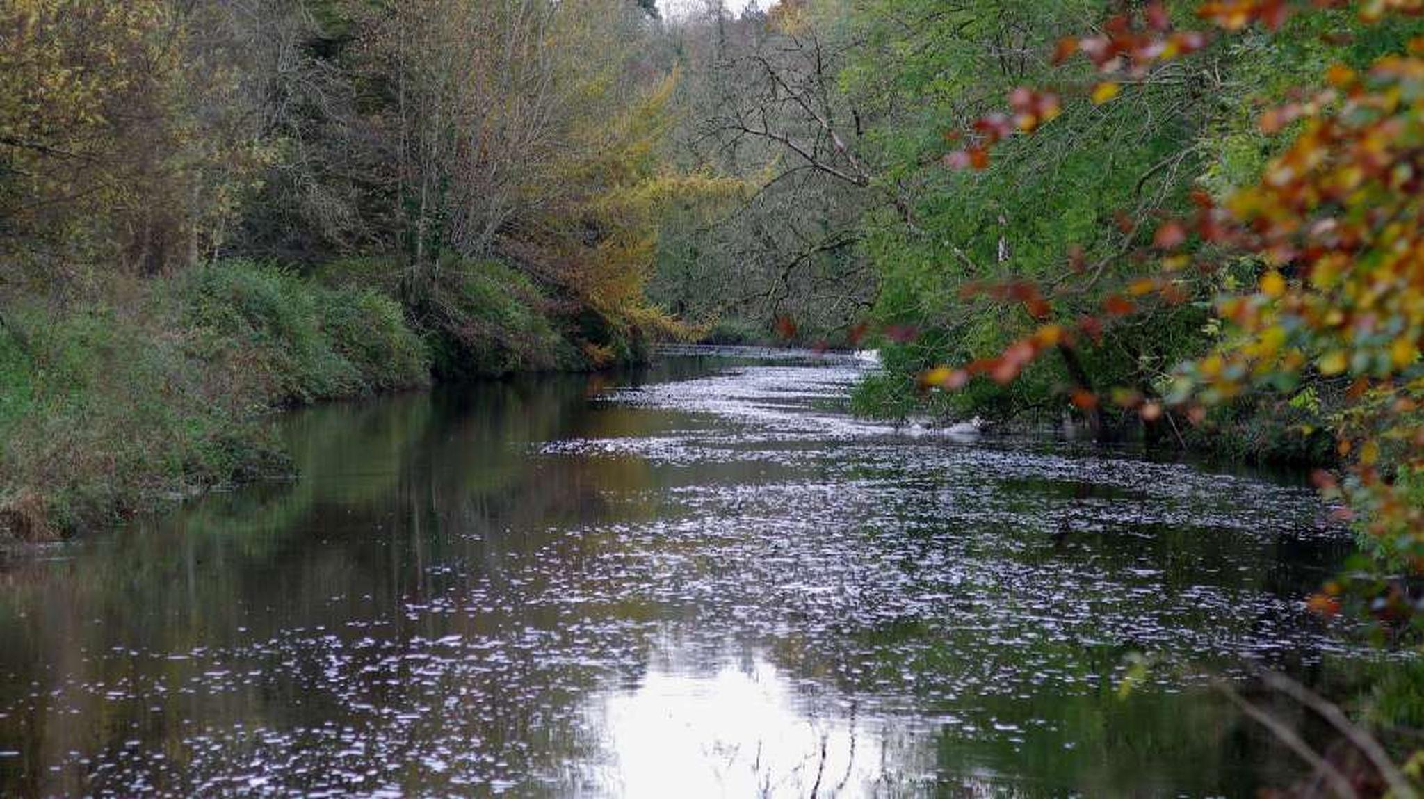 A serene river with calm, reflective water flows through a lush, tree-lined landscape in autumn, with foliage in shades of green and orange.