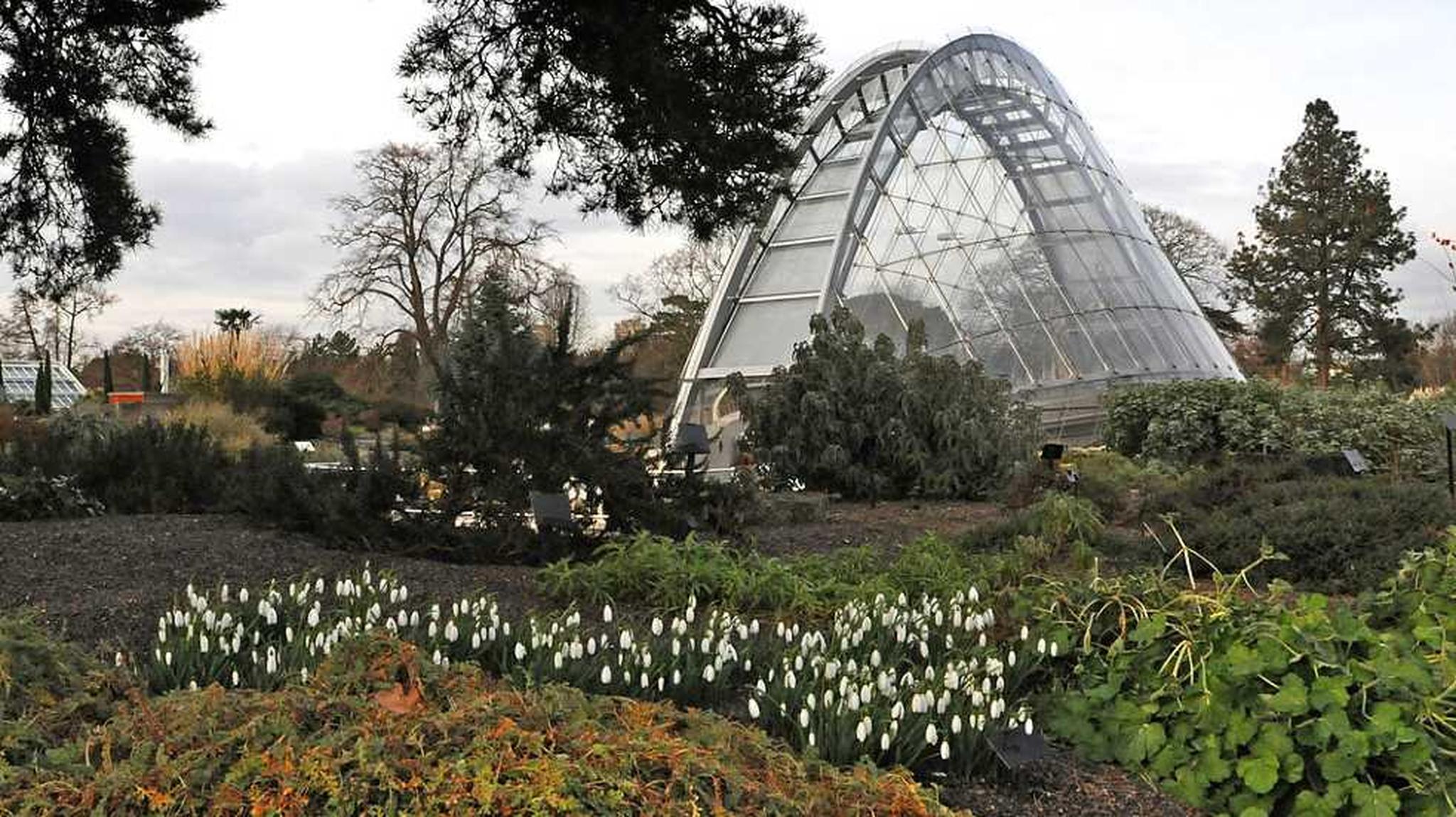 A large glass conservatory in a garden setting, surrounded by trees and white flowers