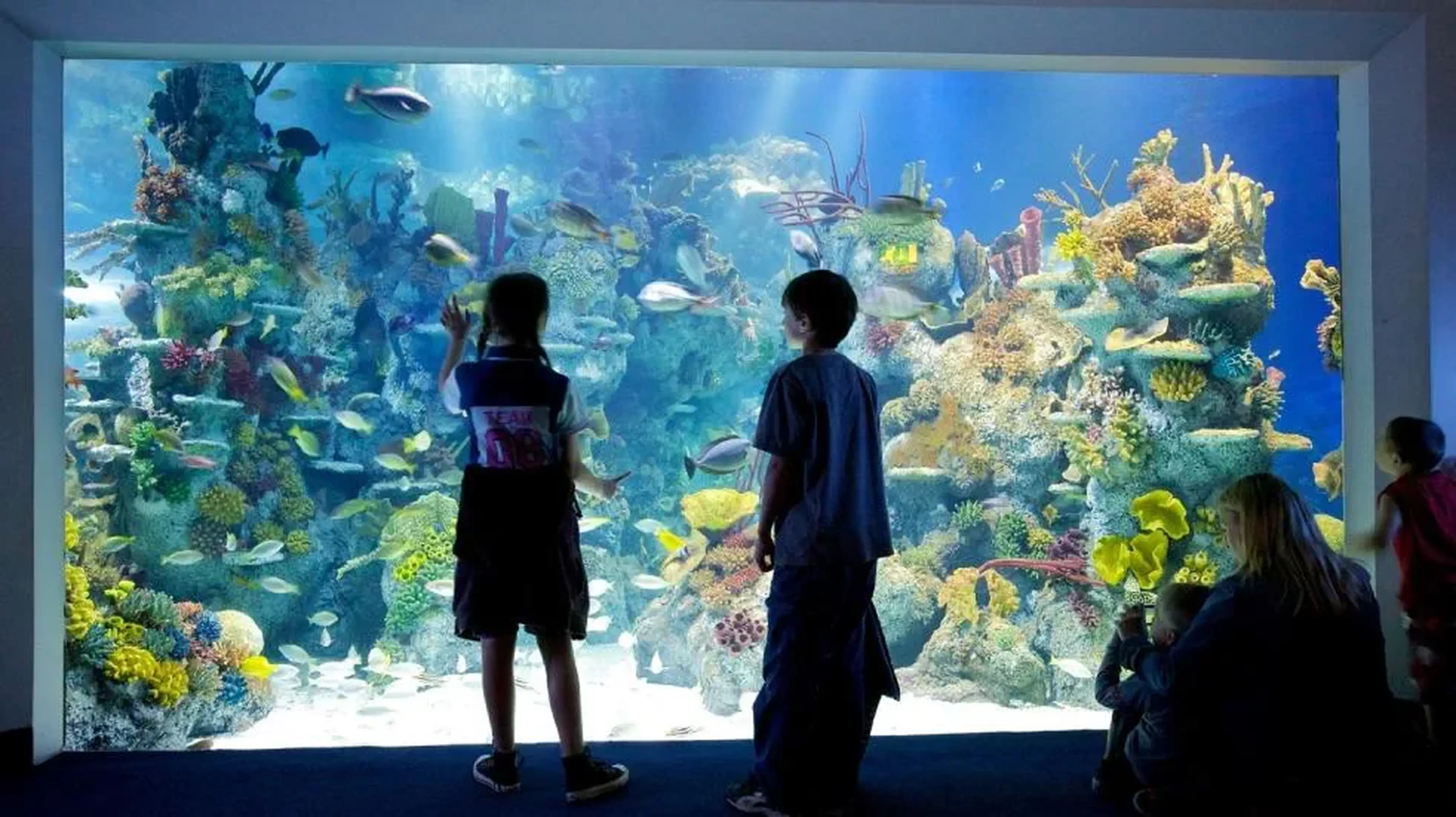 Children and adults viewing a large aquarium filled with colourful