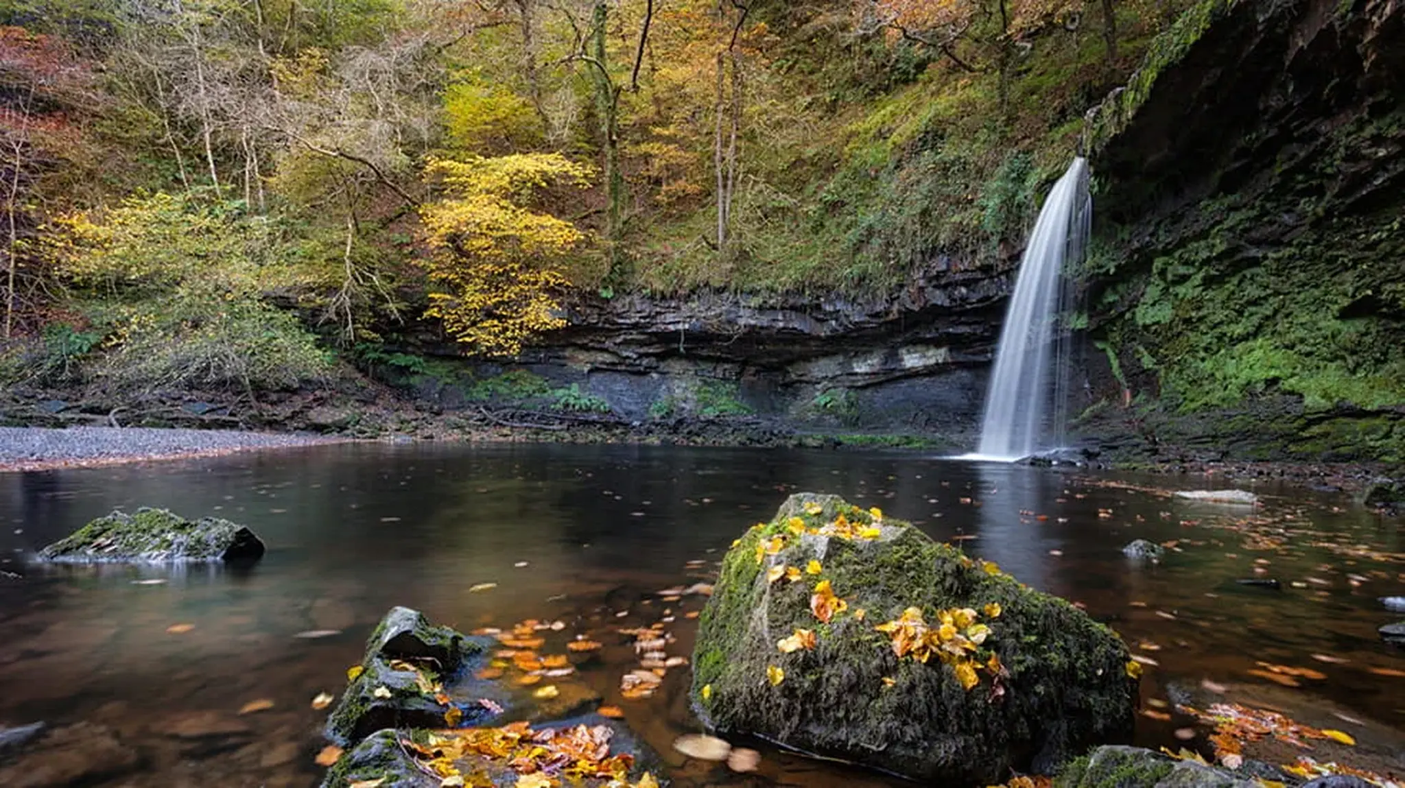 A serene waterfall cascades into a pool surrounded by mossy rocks and autumn trees