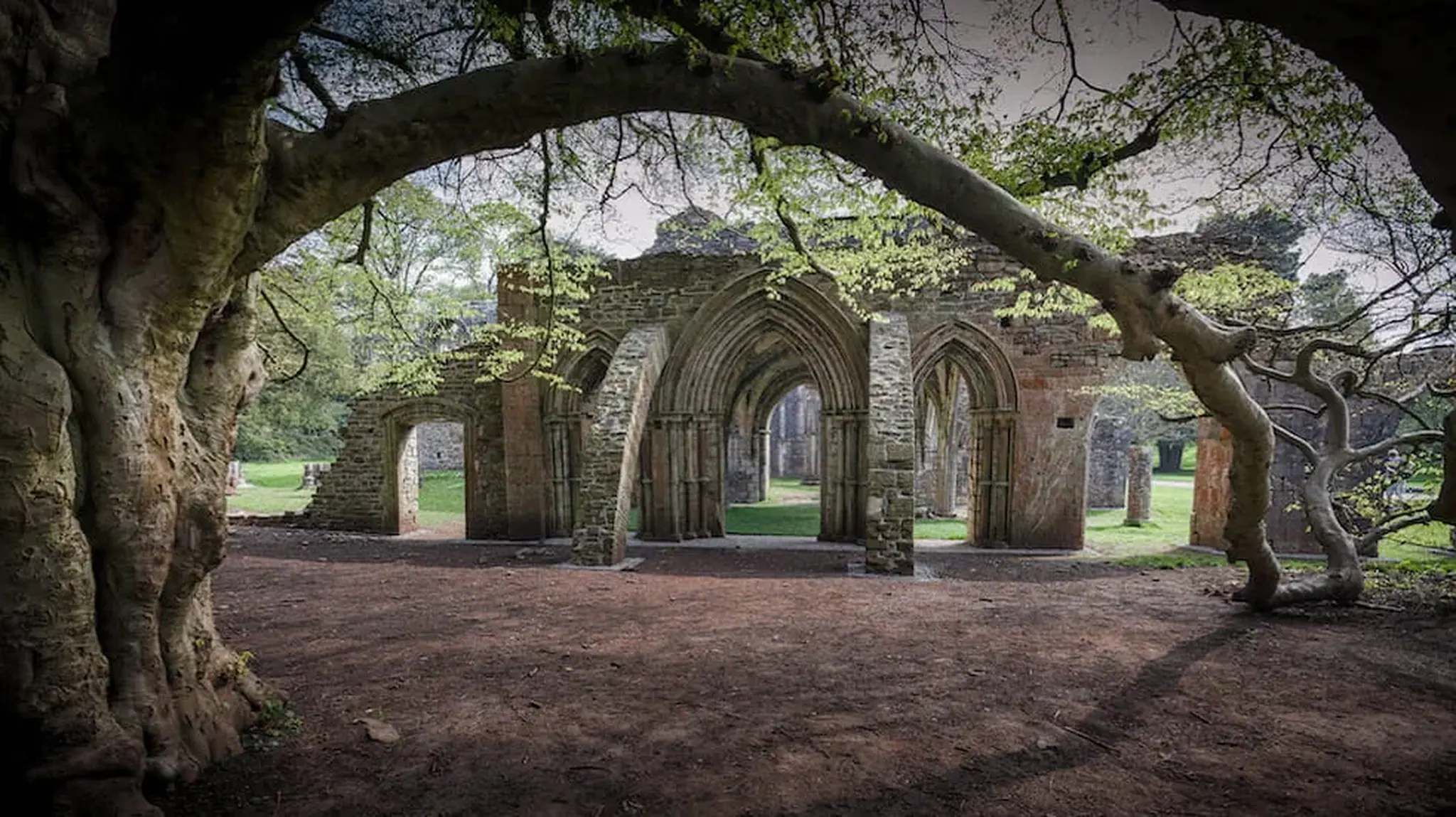 Stone archways of an ancient ruin surrounded by green trees