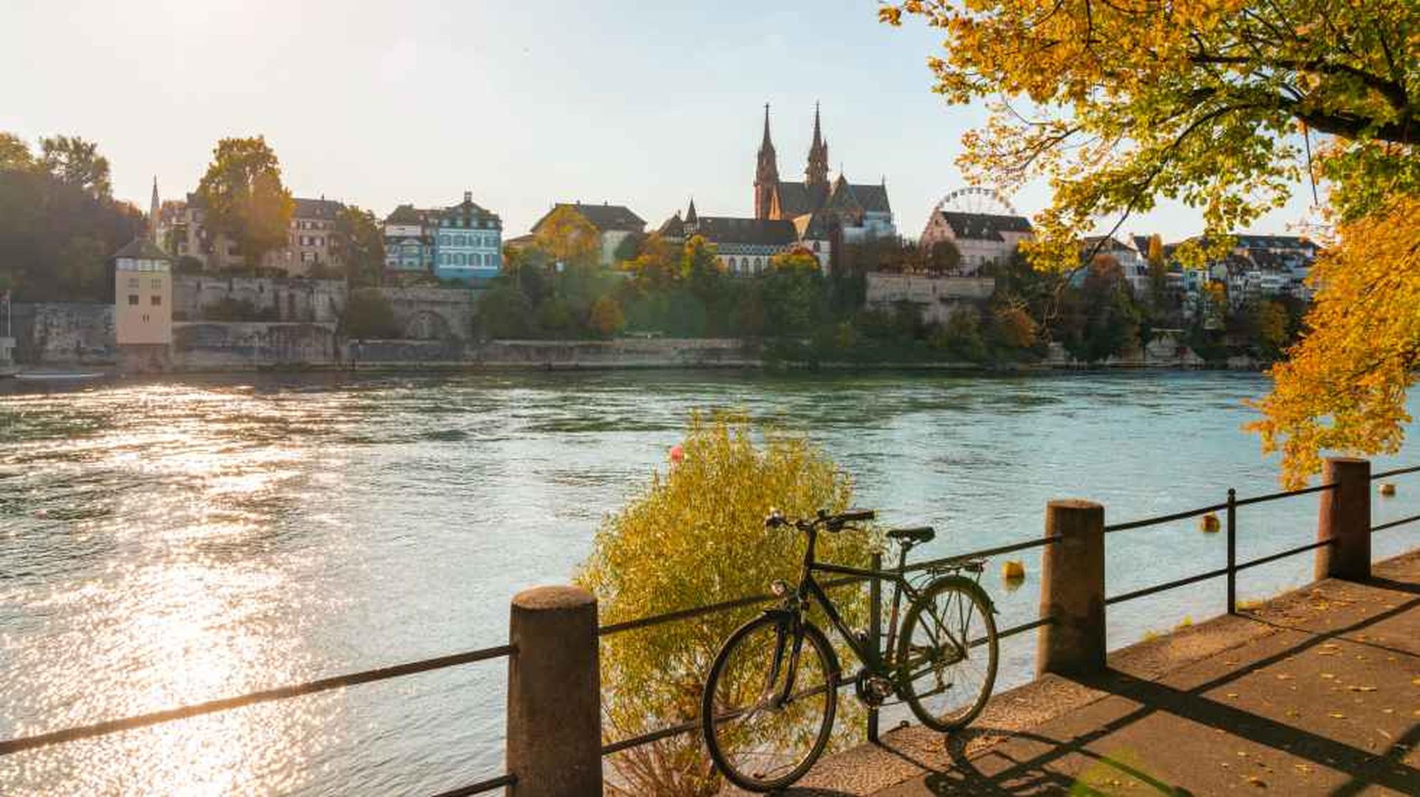 A bicycle is parked by a tree-lined riverbank with a scenic view of a European town and cathedral