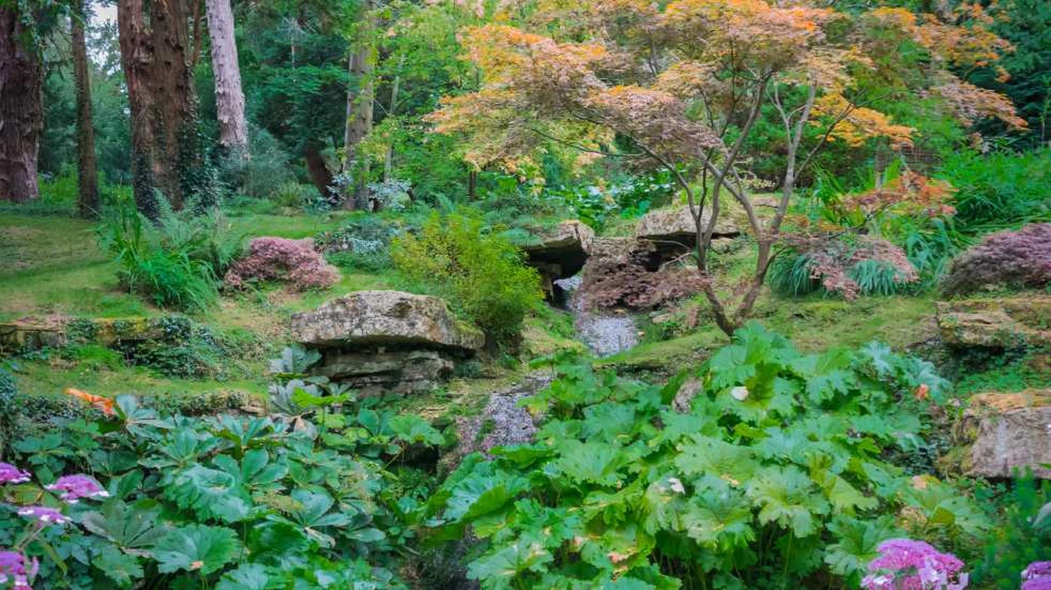 A garden scene with green foliage, rocks, and a small waterfall
